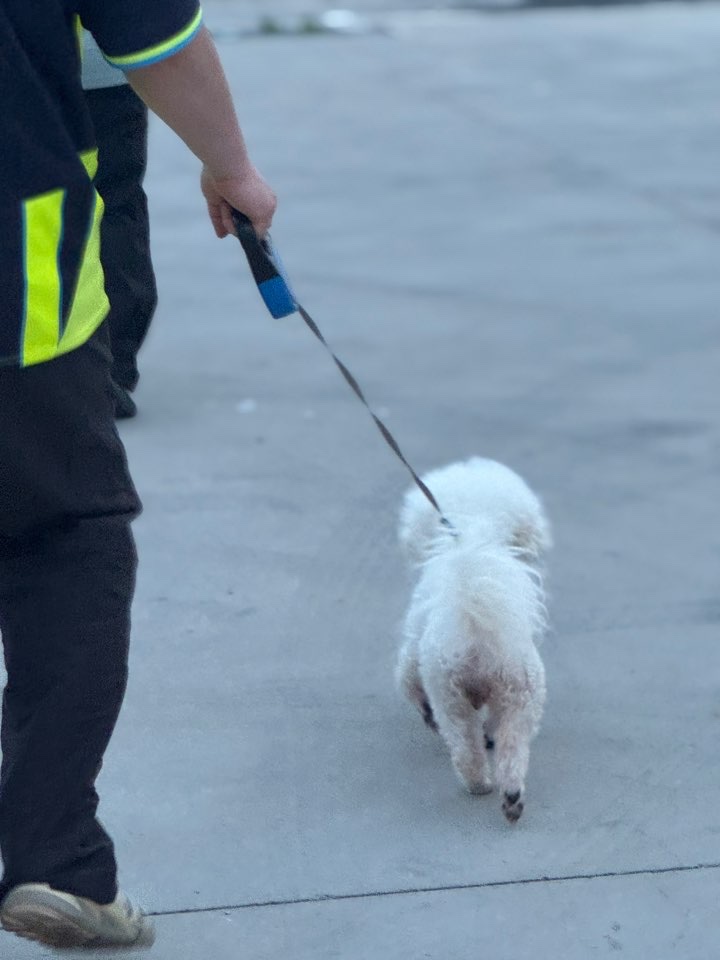 너구리님의 스타일