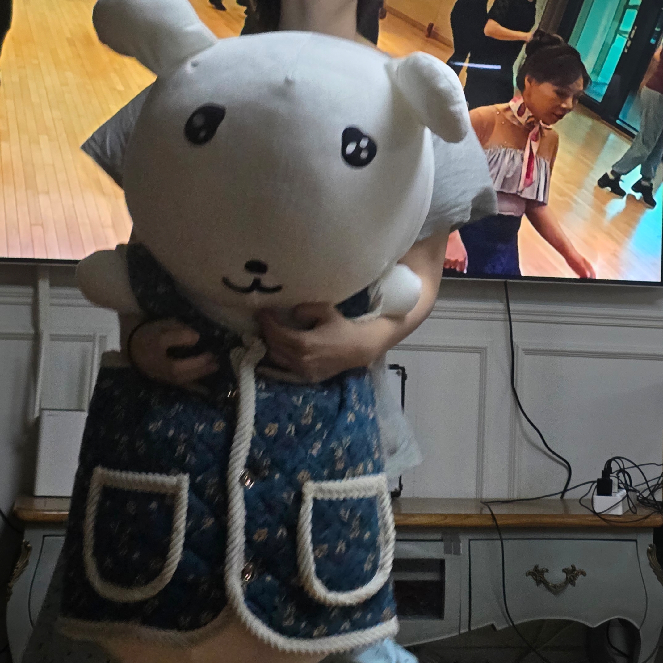 Ganadi Body Pillow Hug Me 착용 스타일