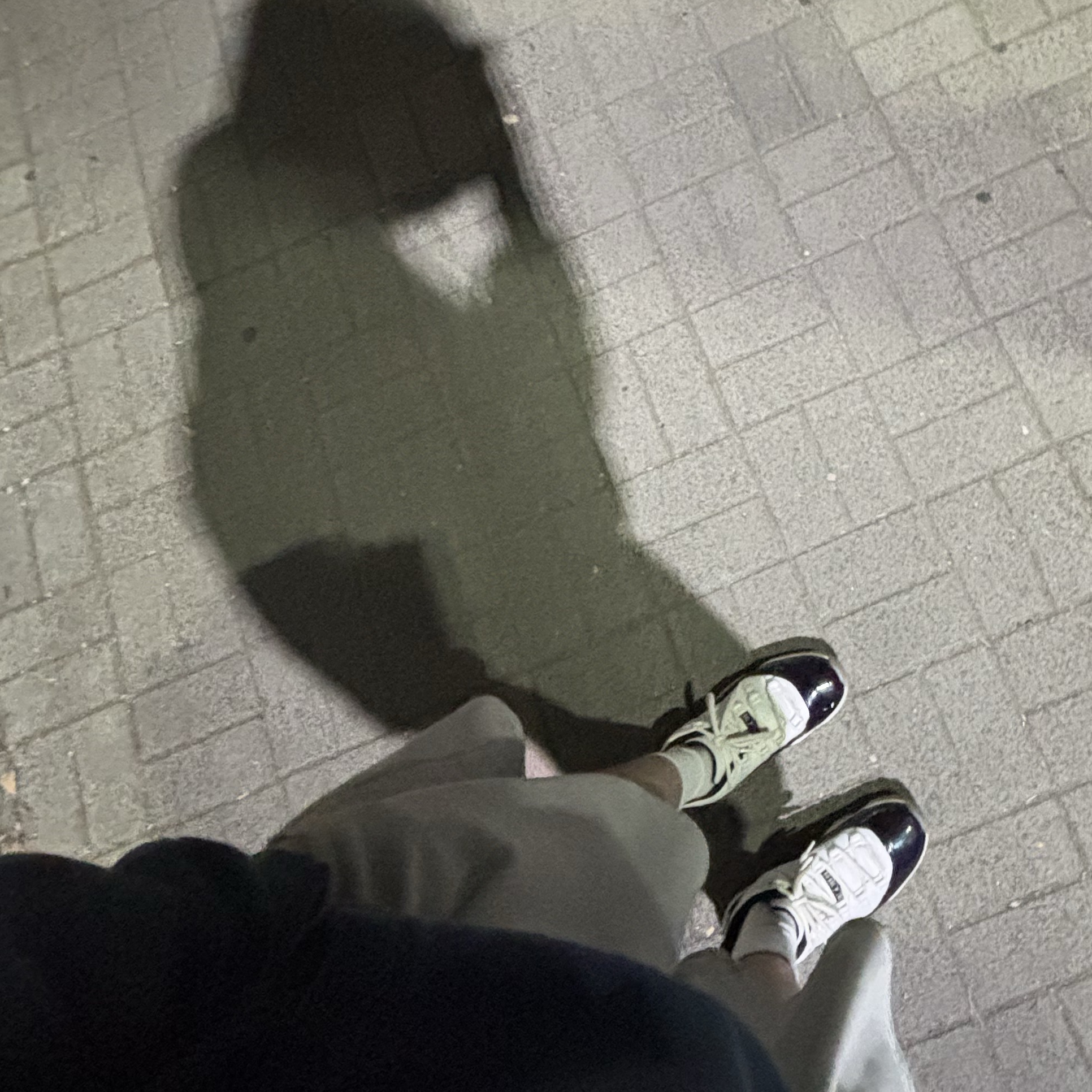 Jordan 11 Retro Low Iridescent 착용 스타일