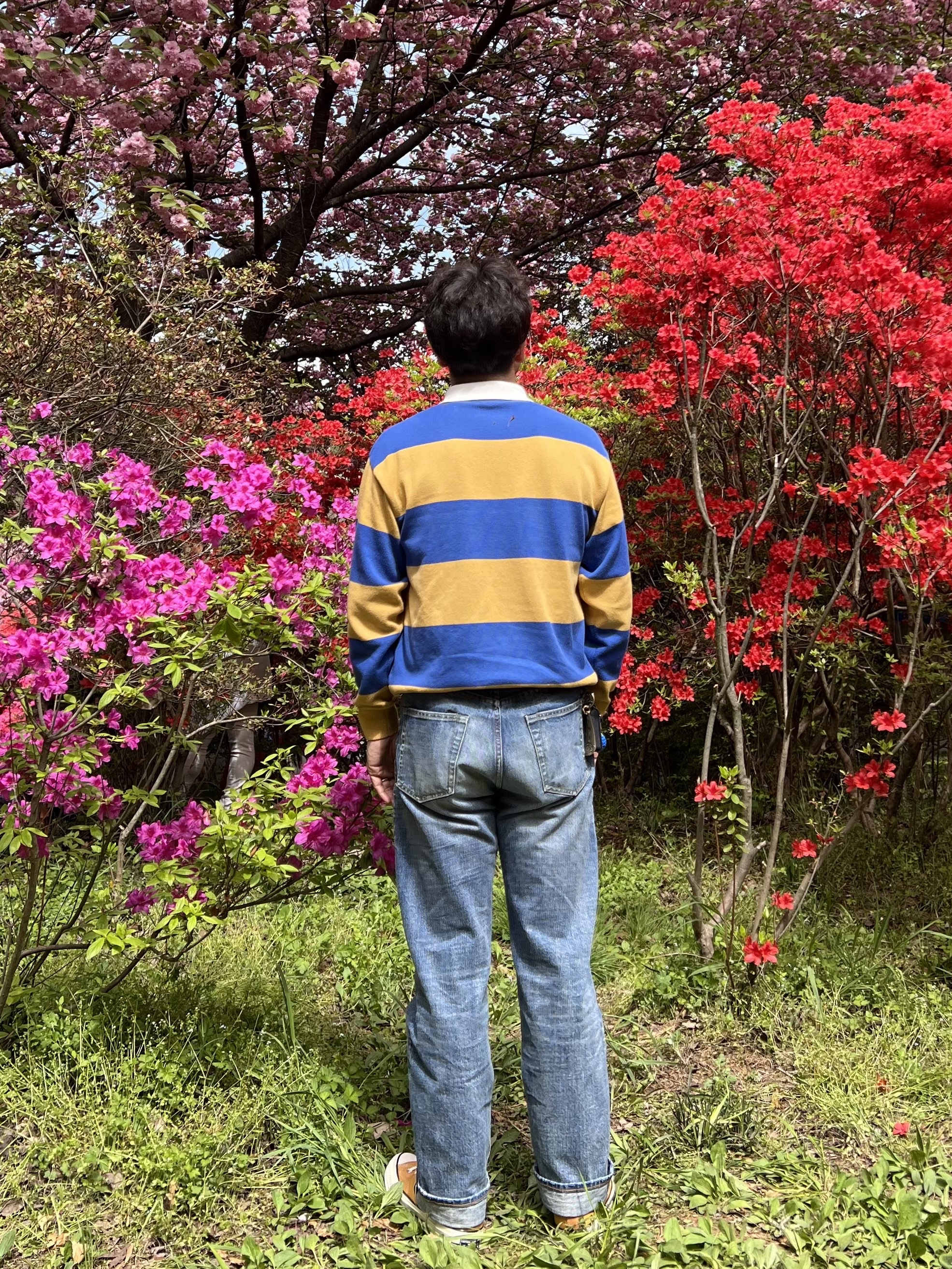 Outstanding 40S Selvedge Straight Pants Light Blue, Converse Chuck Taylor All Star Ox Saffron Yellow 착용 스타일 - 2