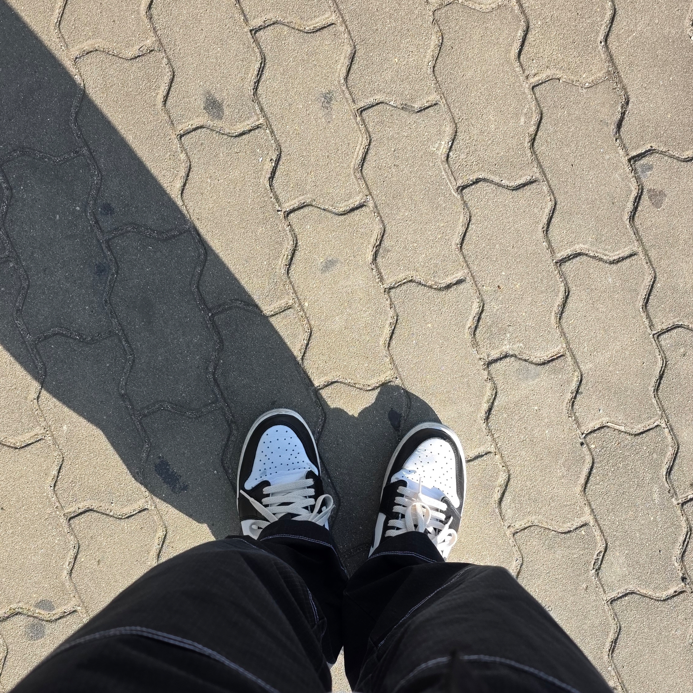Jordan 1 Retro Low OG Black and Dark Powder Blue 착용 스타일
