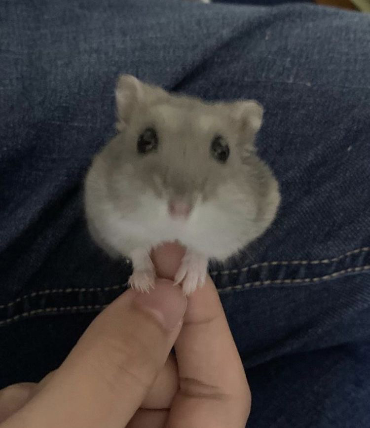 관심 유저 프로필 이미지