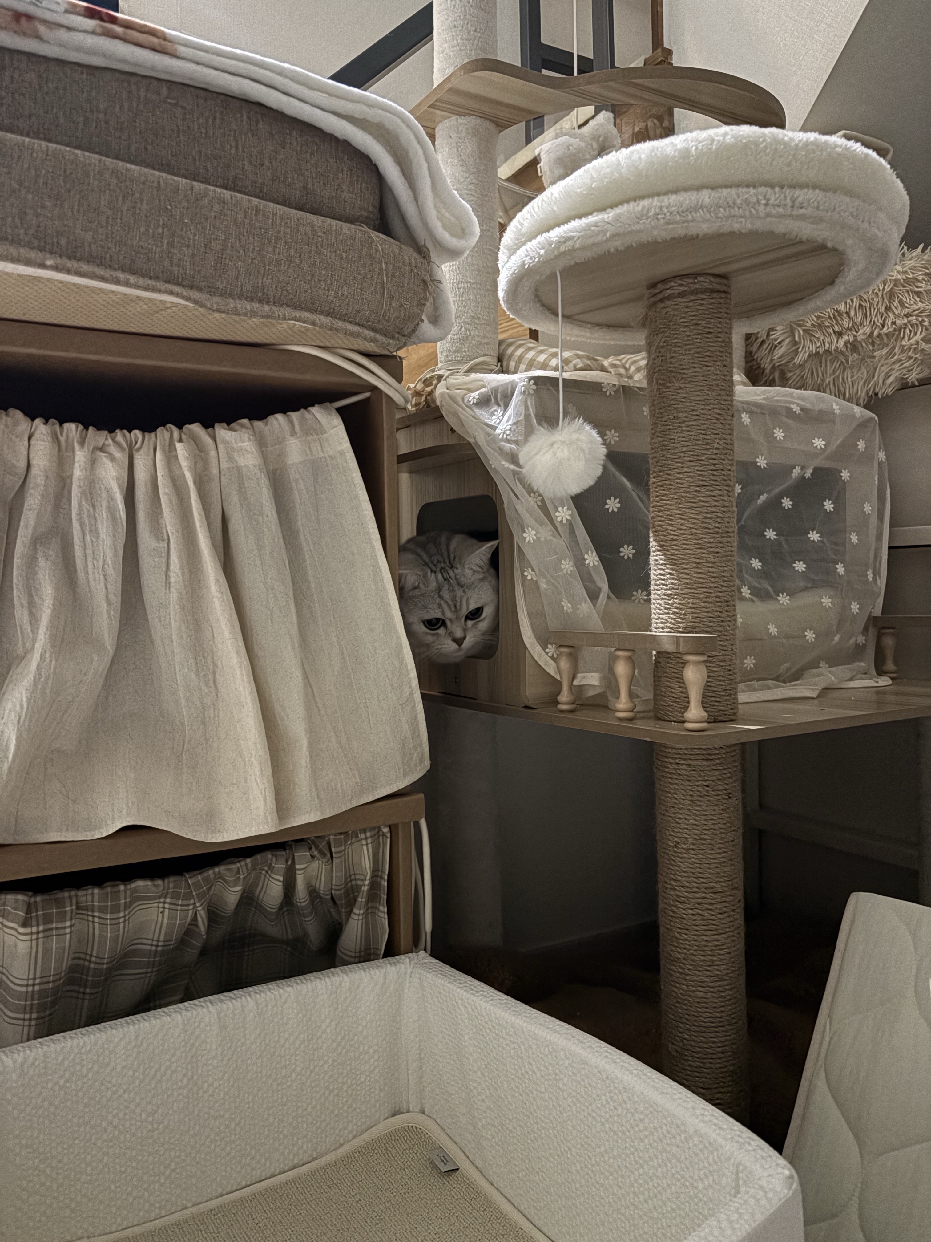 Gottagohome Invisible cat cape toy, Gottagohome Curtain Box 착용 스타일 - 1