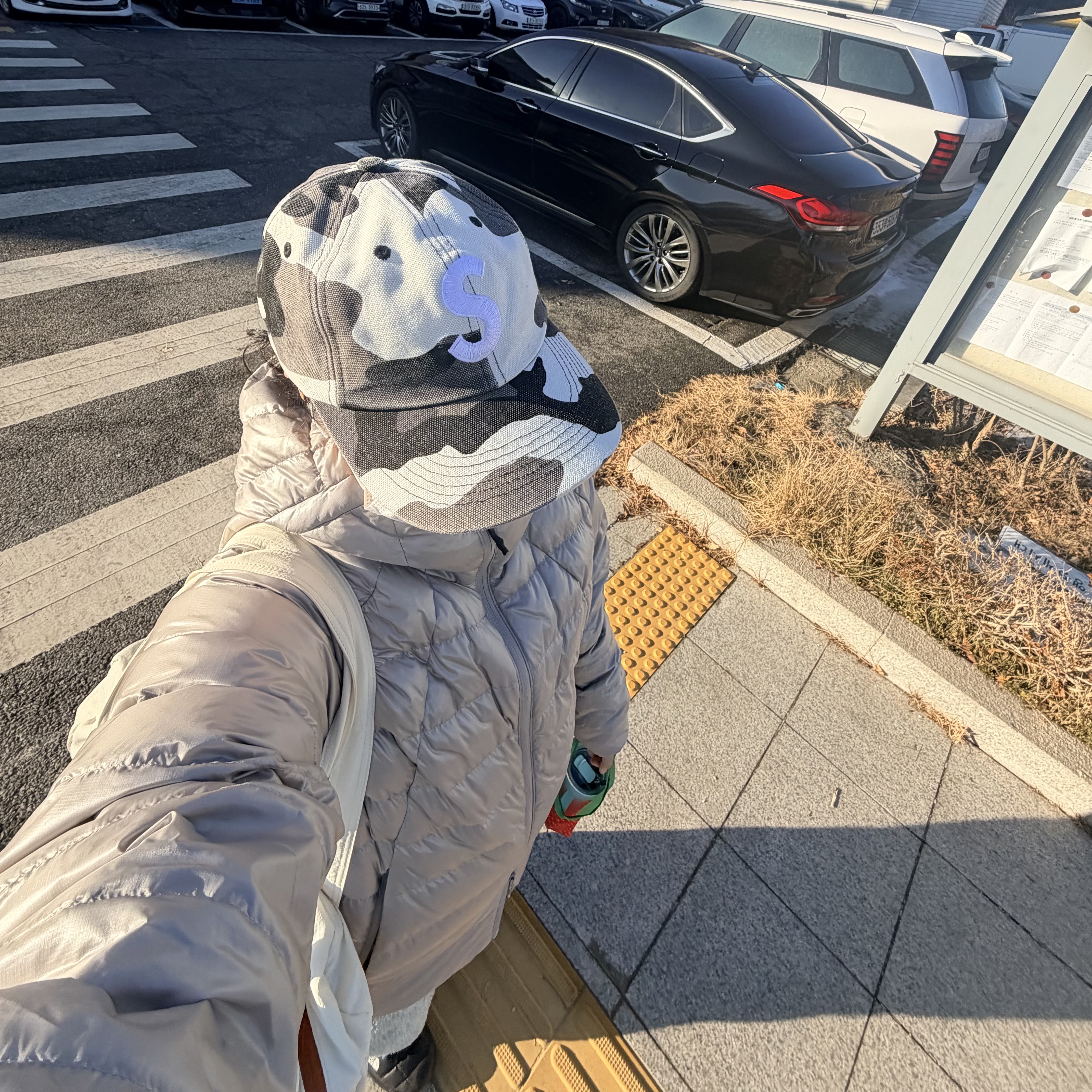 Supreme Pigment Coated Canvas S Logo 6-Panel Snow Camo - 25FW 착용 스타일 - 3