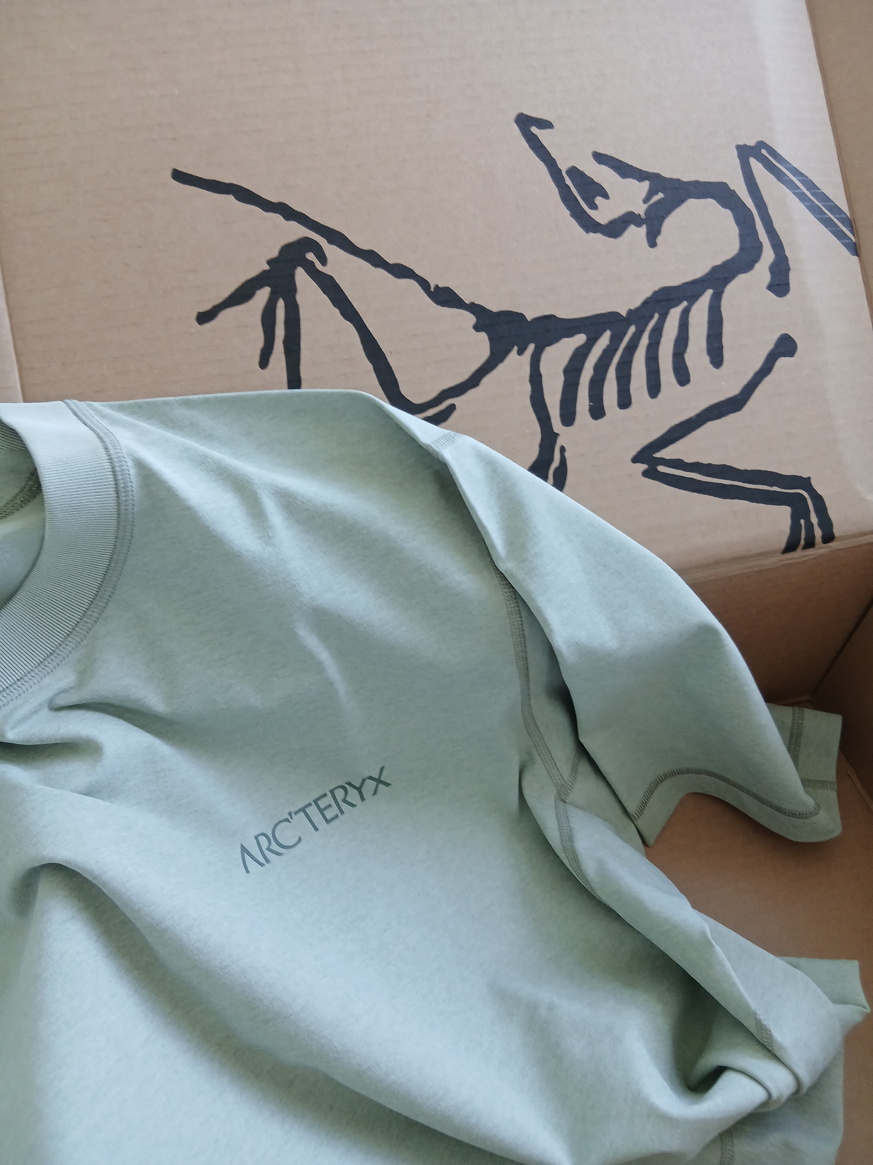 Arc'teryx Envoy Grand Wall SS T-Shirt Habitat 착용 스타일 - 2