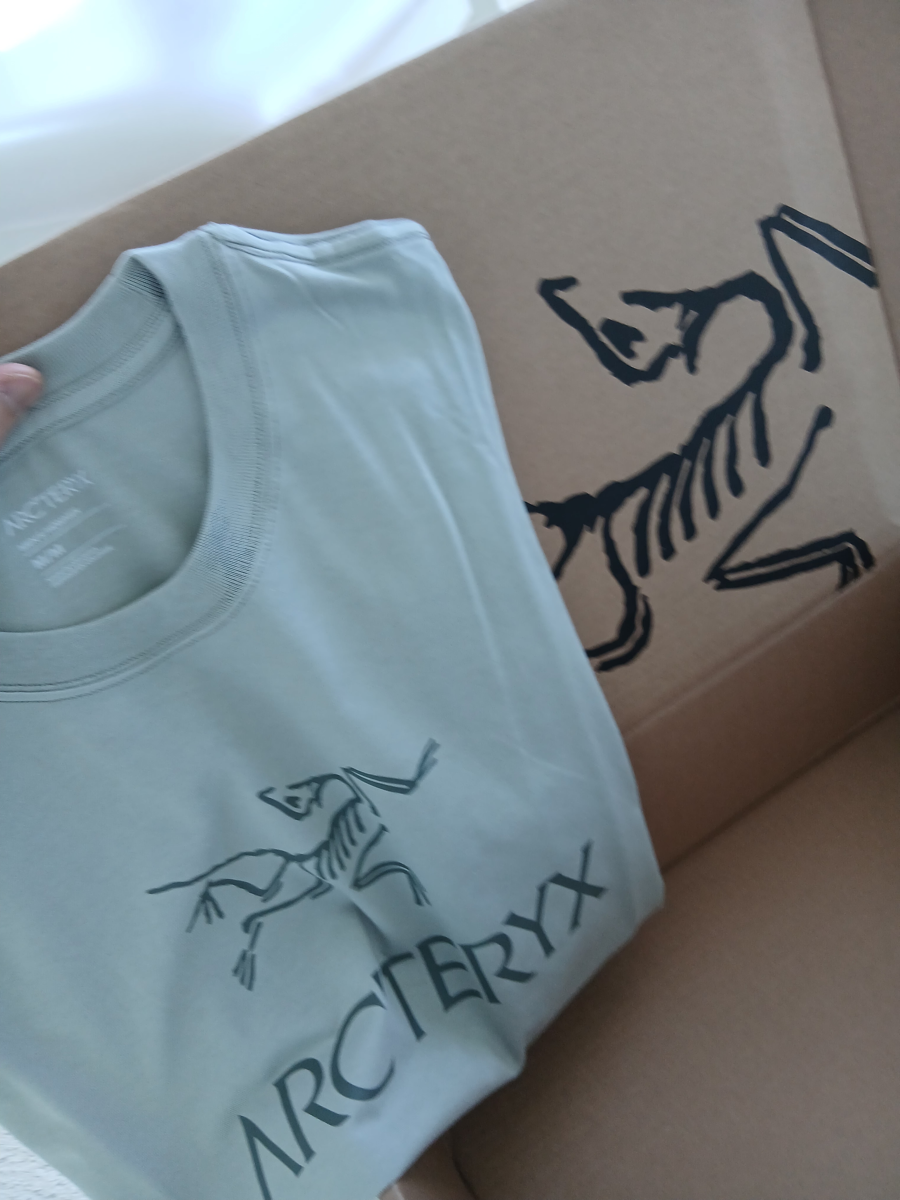 Arc'teryx Arc'word Logo SS T-Shirt Habitat 착용 스타일 - 2