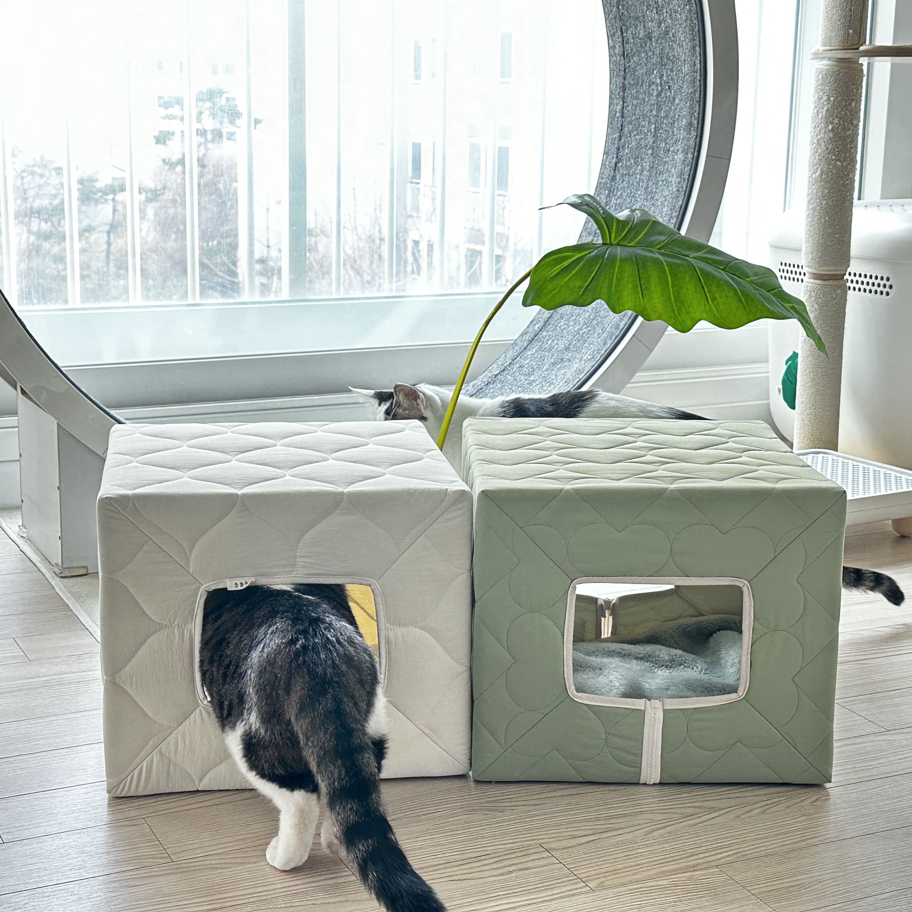 Gottagohome Padded house 착용 스타일