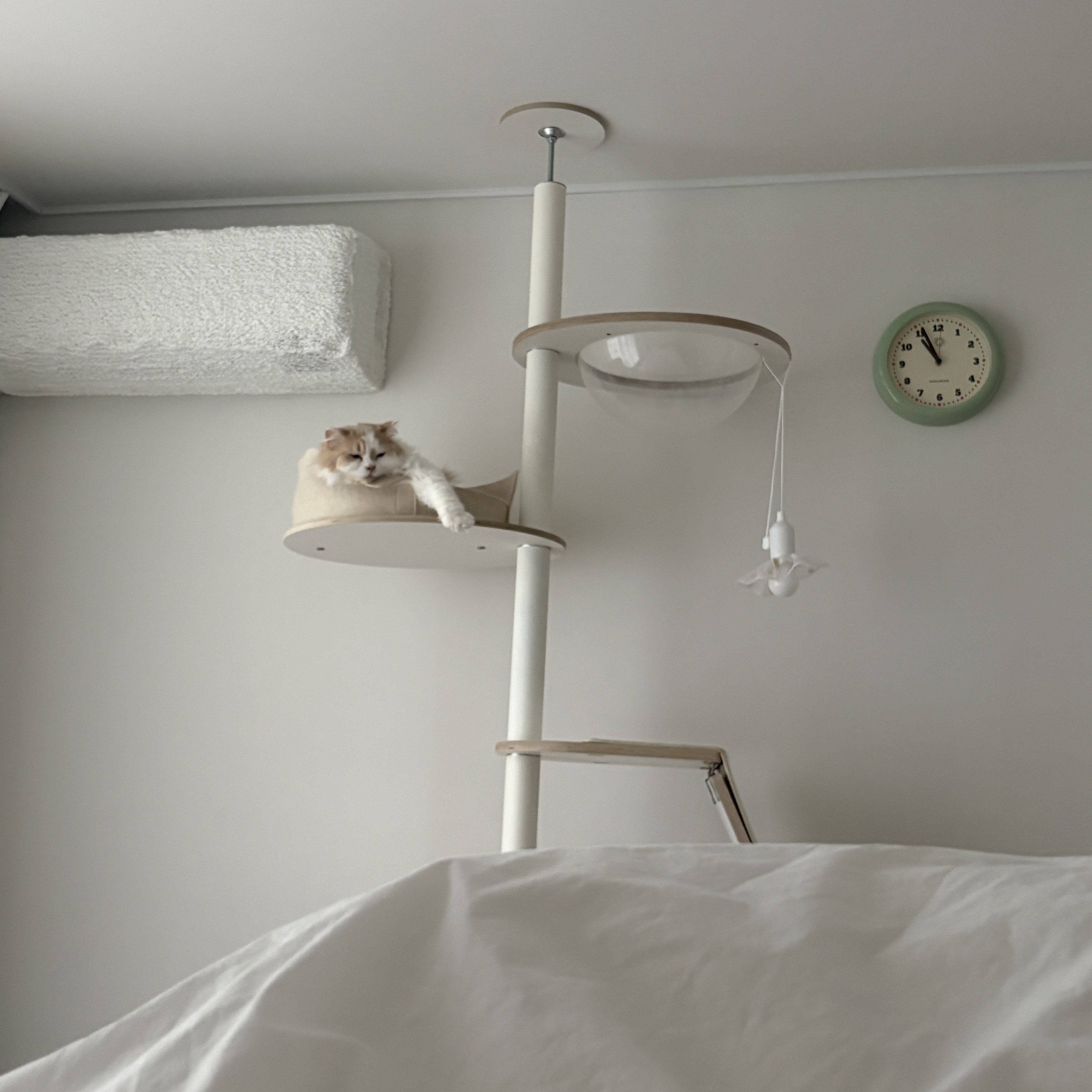 Gottagohome Padded house, Gottagohome Canvas scratcher 착용 스타일 - 2
