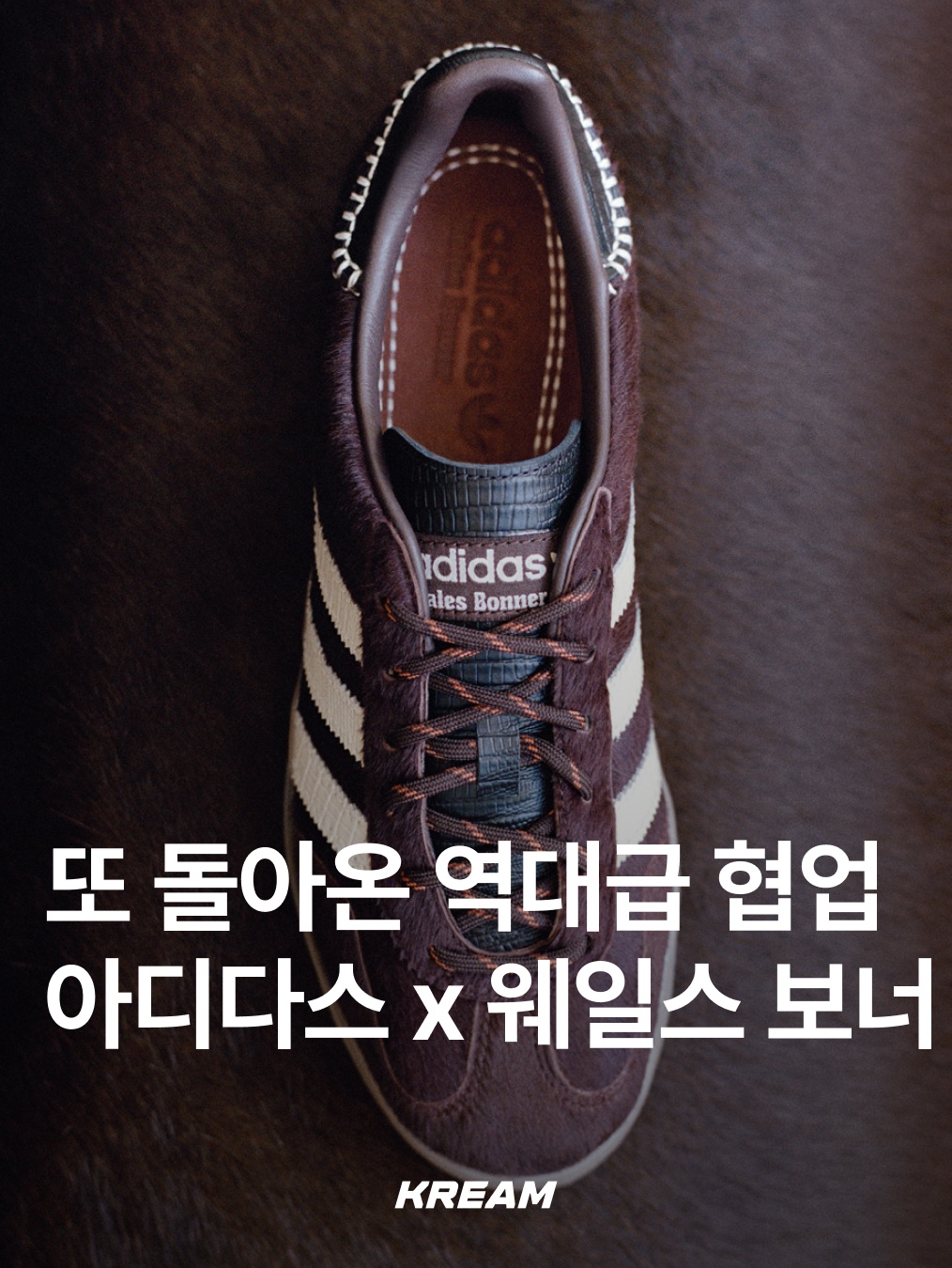 KREAM님의 스타일 - 1