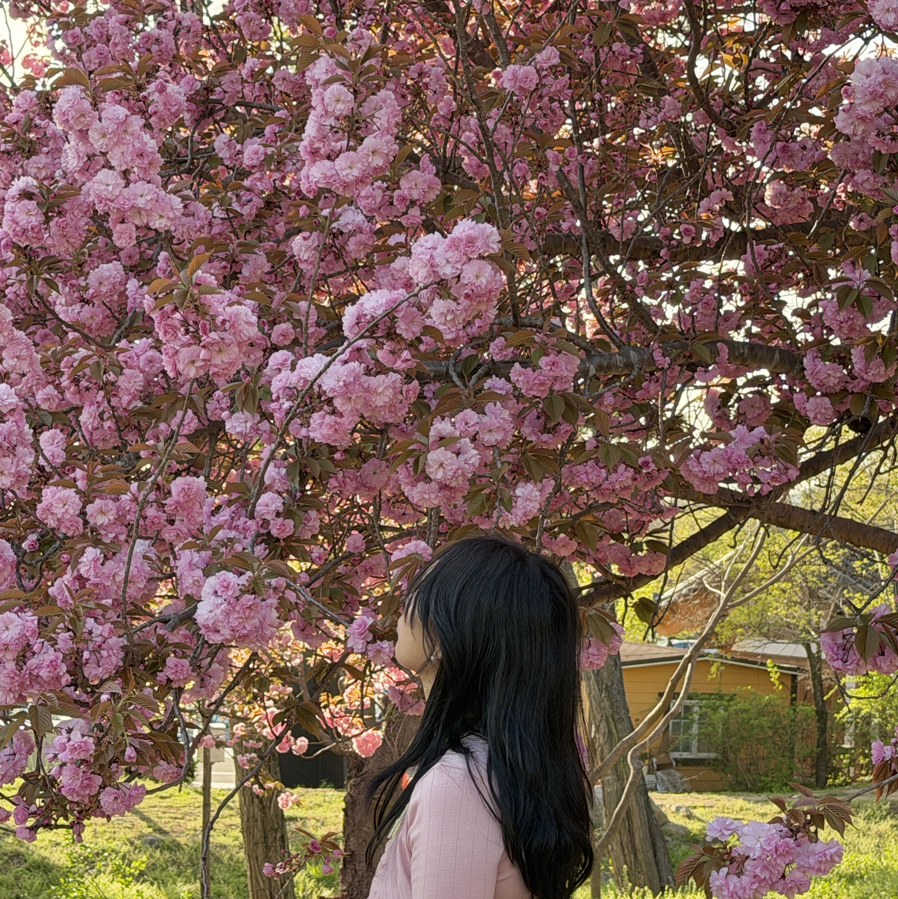 sso님의 스타일 - 1