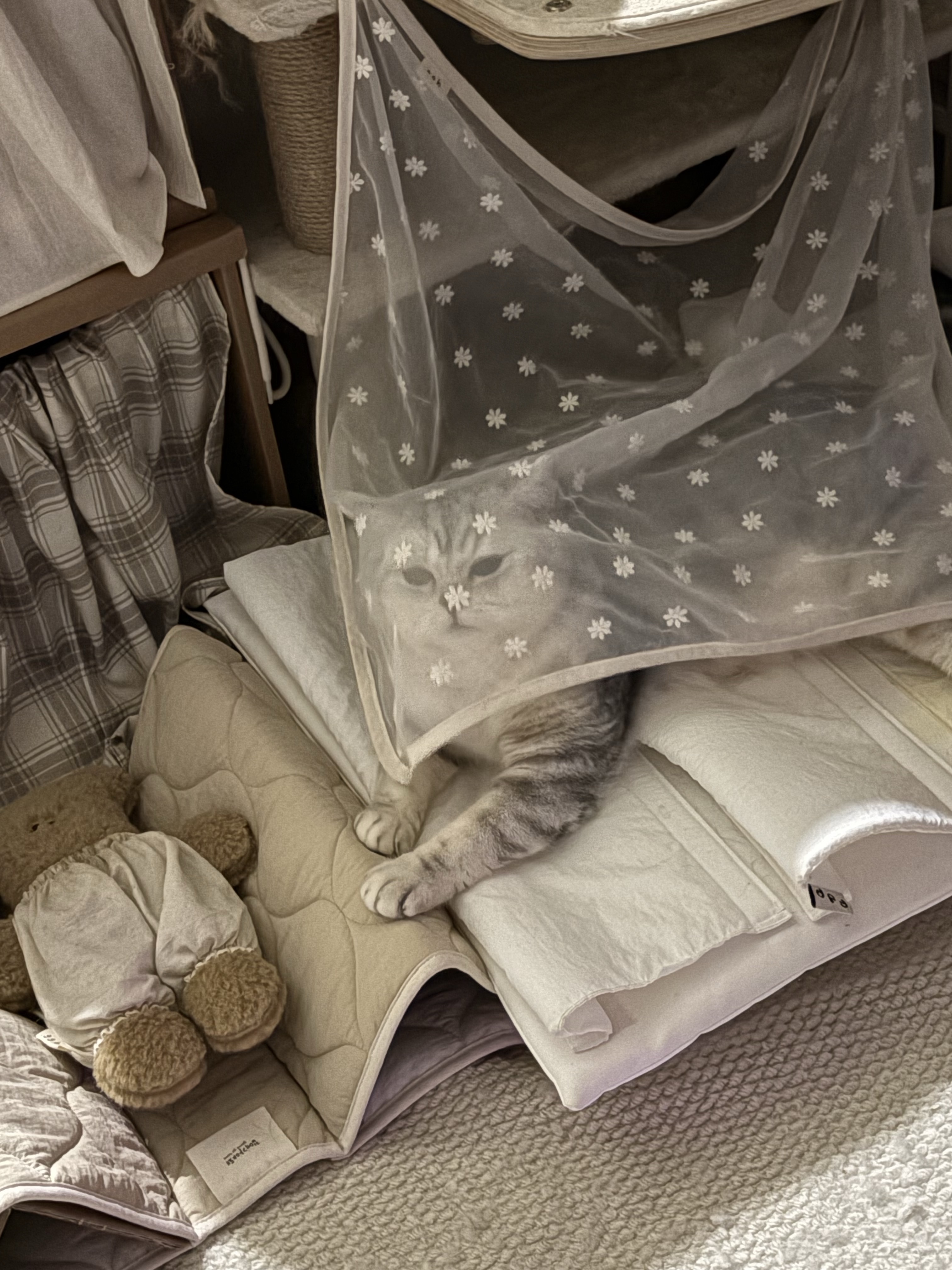 Gottagohome Invisible cat cape toy, Gottagohome Curtain Box 착용 스타일 - 3