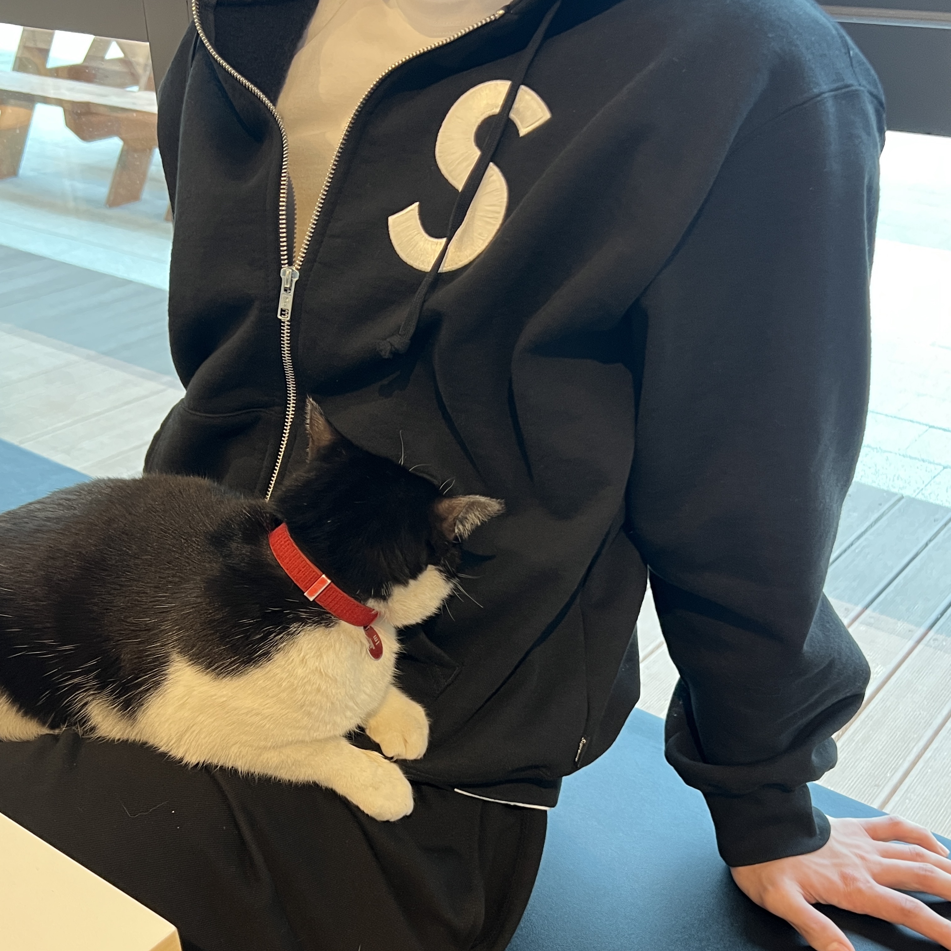 Supreme S Logo Zip Up Hooded Sweatshirt Black - 25FW 착용 스타일 - 2