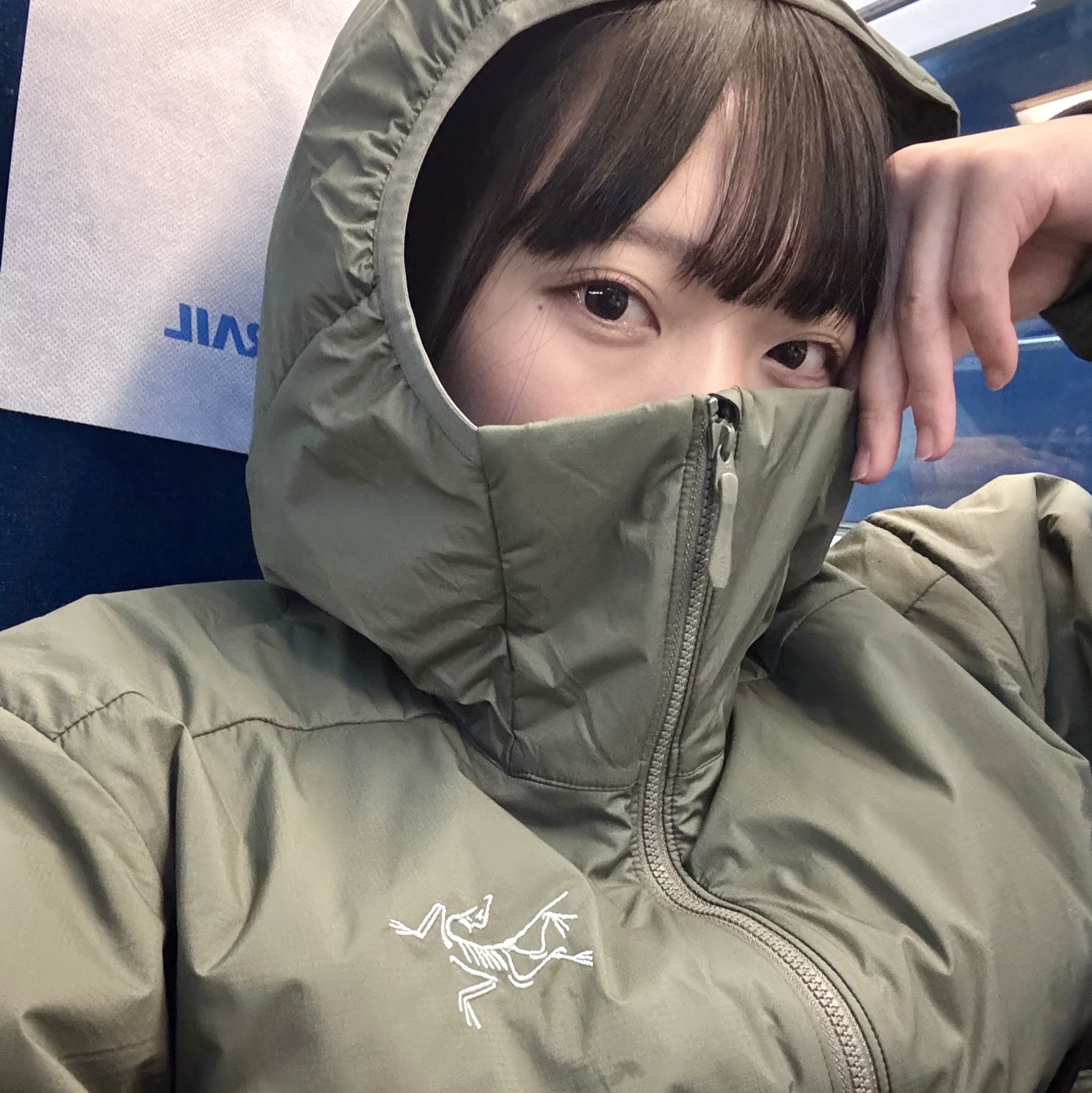 Arc'teryx Atom Hoody Forage 착용 스타일