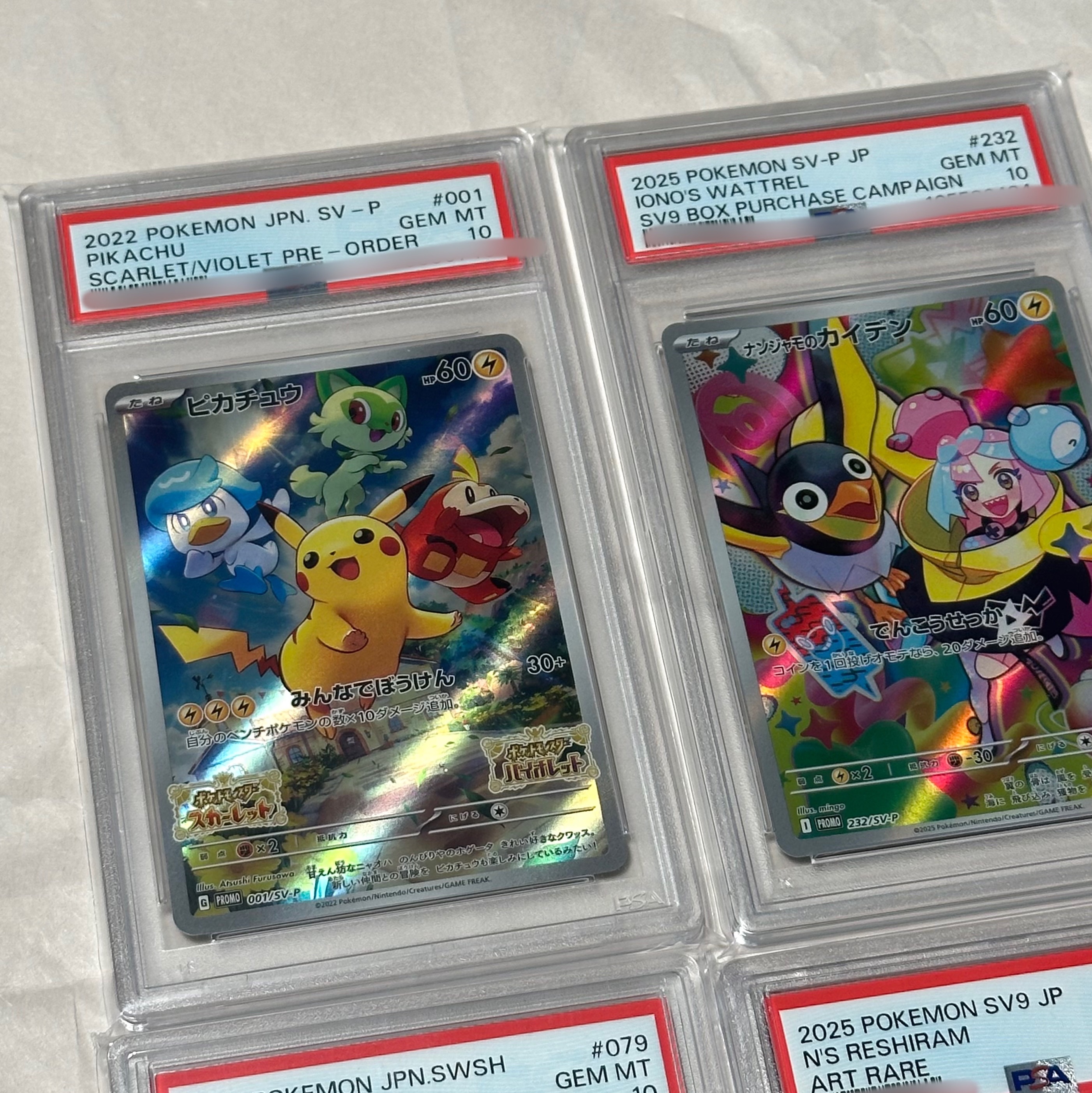 Pokemon TCG Pikachu P Scarlet & Violet Promos (Japanese Ver.), Pokemon TCG Iono's Wattrel P Scarlet & Violet Promos (Japanese Ver.) 착용 스타일 - 1