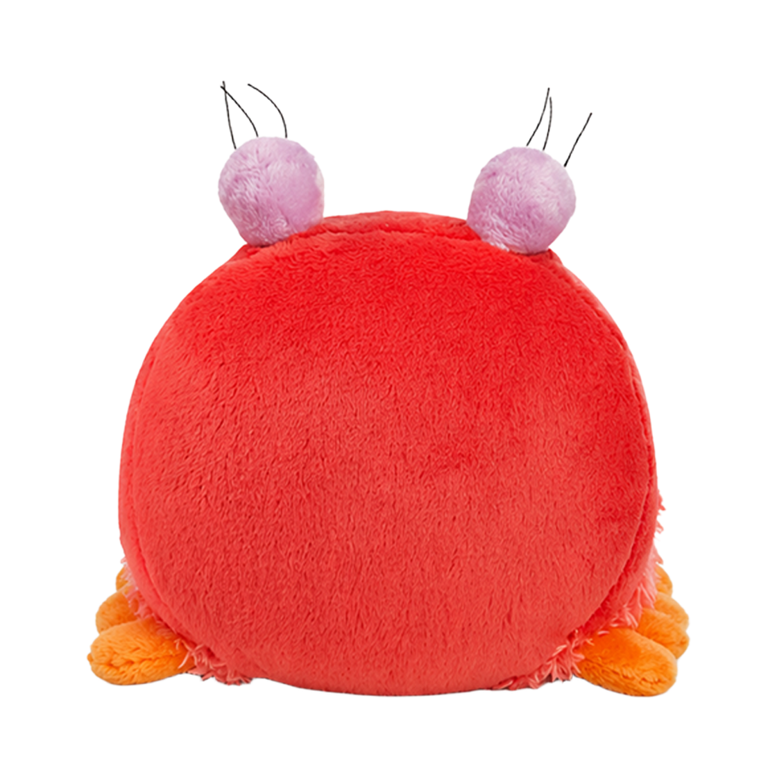 [KREAM 단독] 니키 크랩 시벨리 인형 20cm([KREAM 단독] NICI Crab Sibel Doll 20cm) - 3