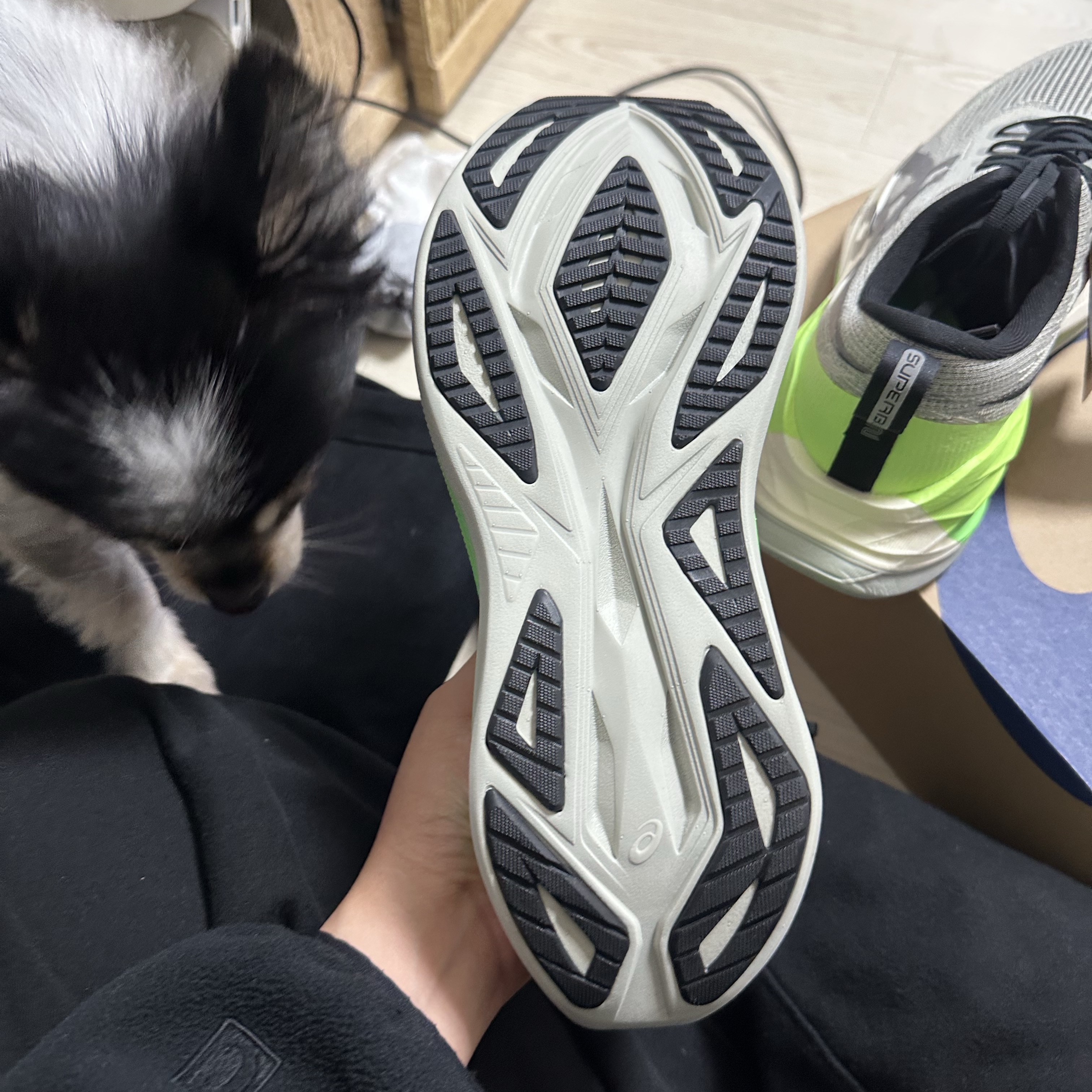 Asics Superblast 2 Lite Show CN White Sage Carbon 착용 스타일 - 5