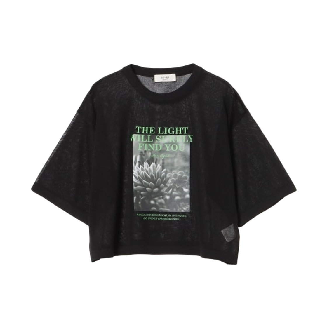 43-05-0130-928 (W) Beams Heart Photo Print Sheer Knit T-Shirt Black