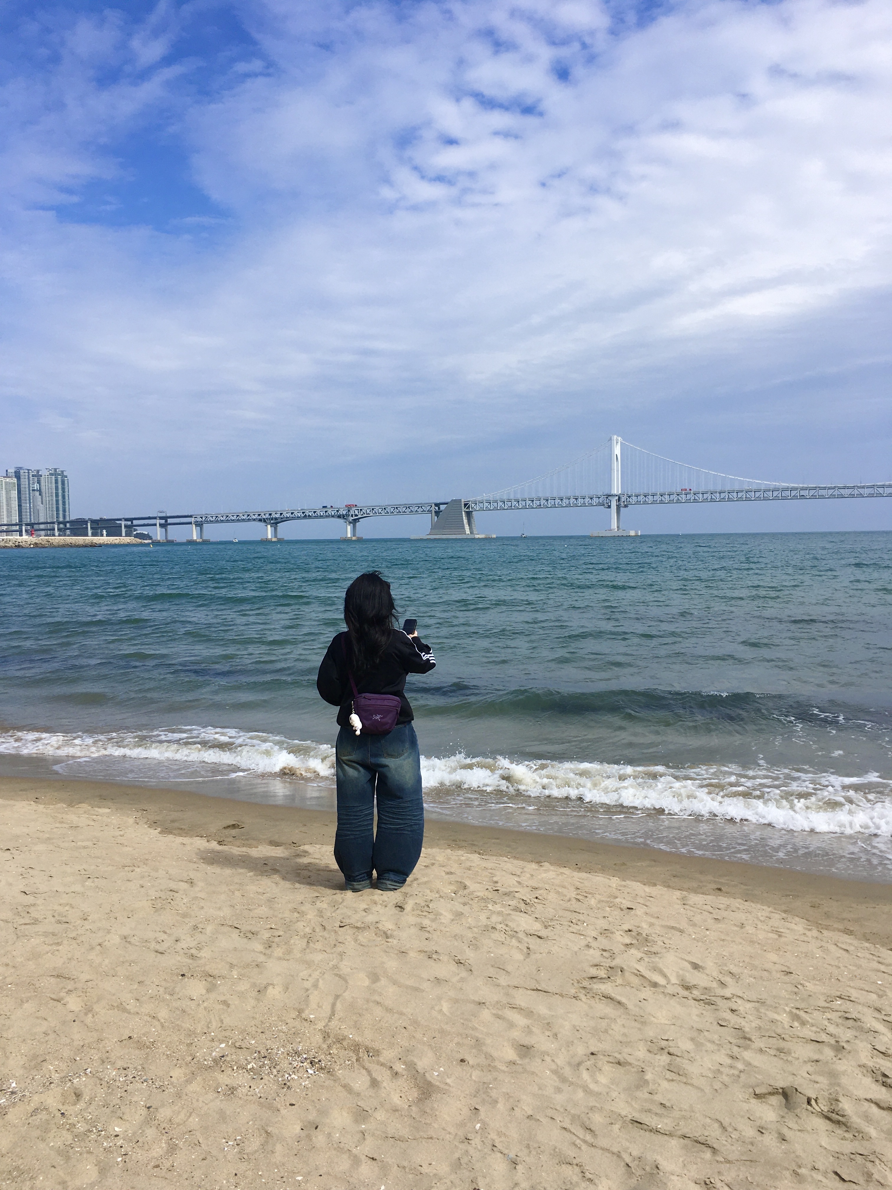 Arc'teryx Mantis 2 Waistpack Moondrop, Adidas Adicolor Classics Firebird Track Top Black - KR Sizing 착용 스타일
