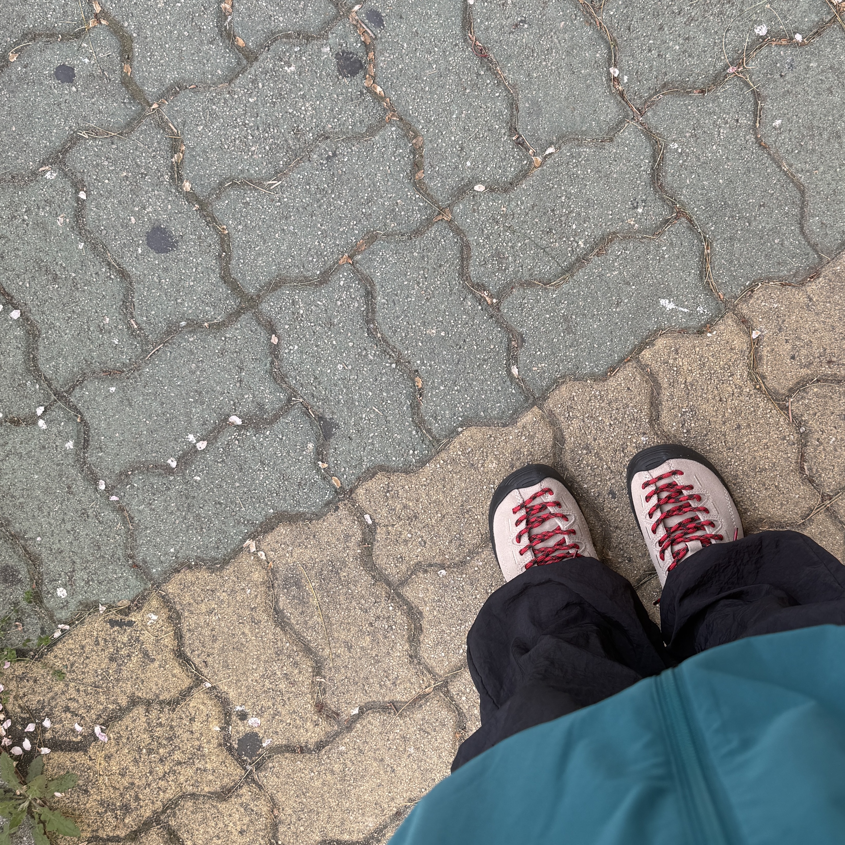 (W) Keen Jasper Suede Sneakers Silver Mink 착용 스타일
