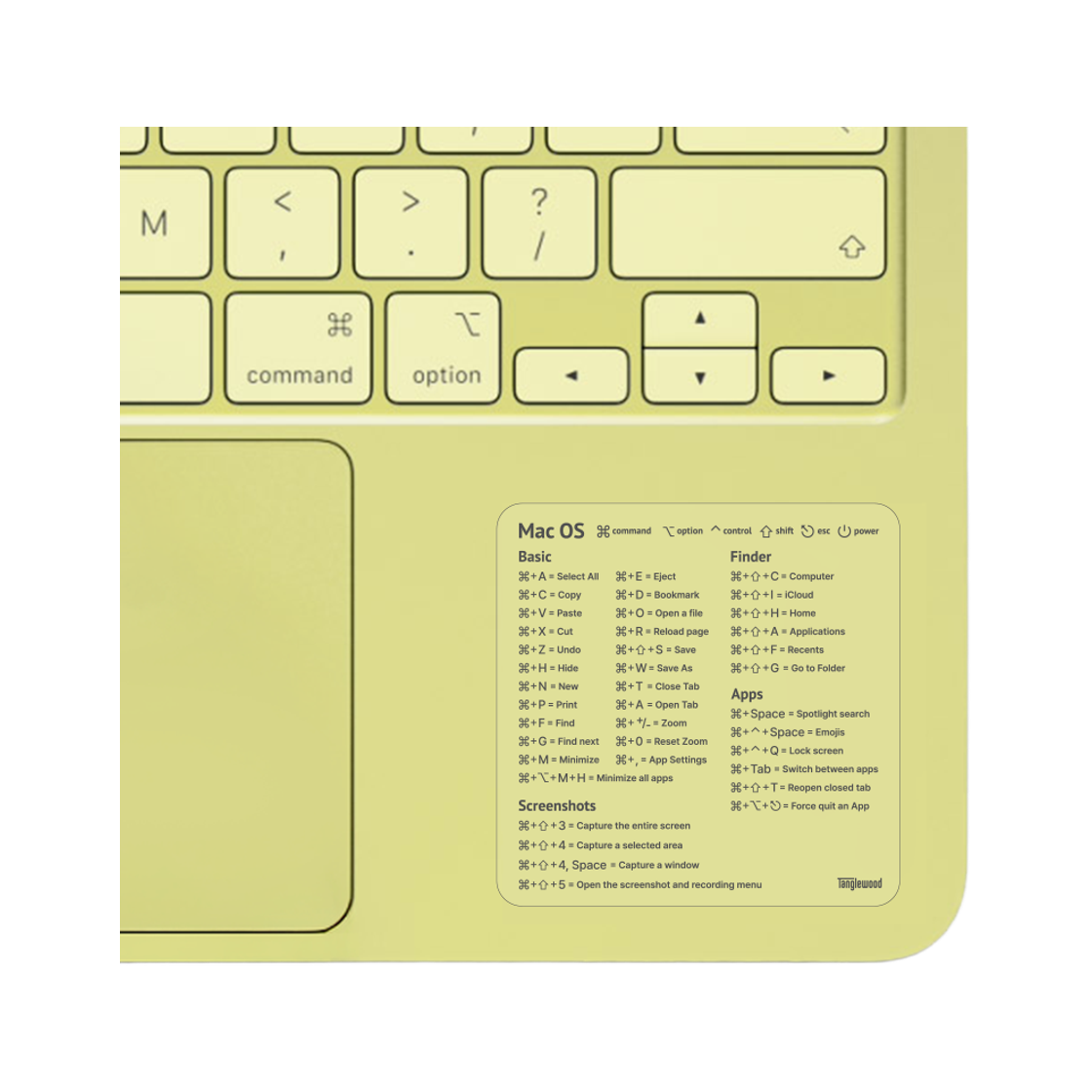 탱글우드 맥북 네오 NEO 액정보호필름(Tanglewood MacBook NEO Screen Protector) - 2