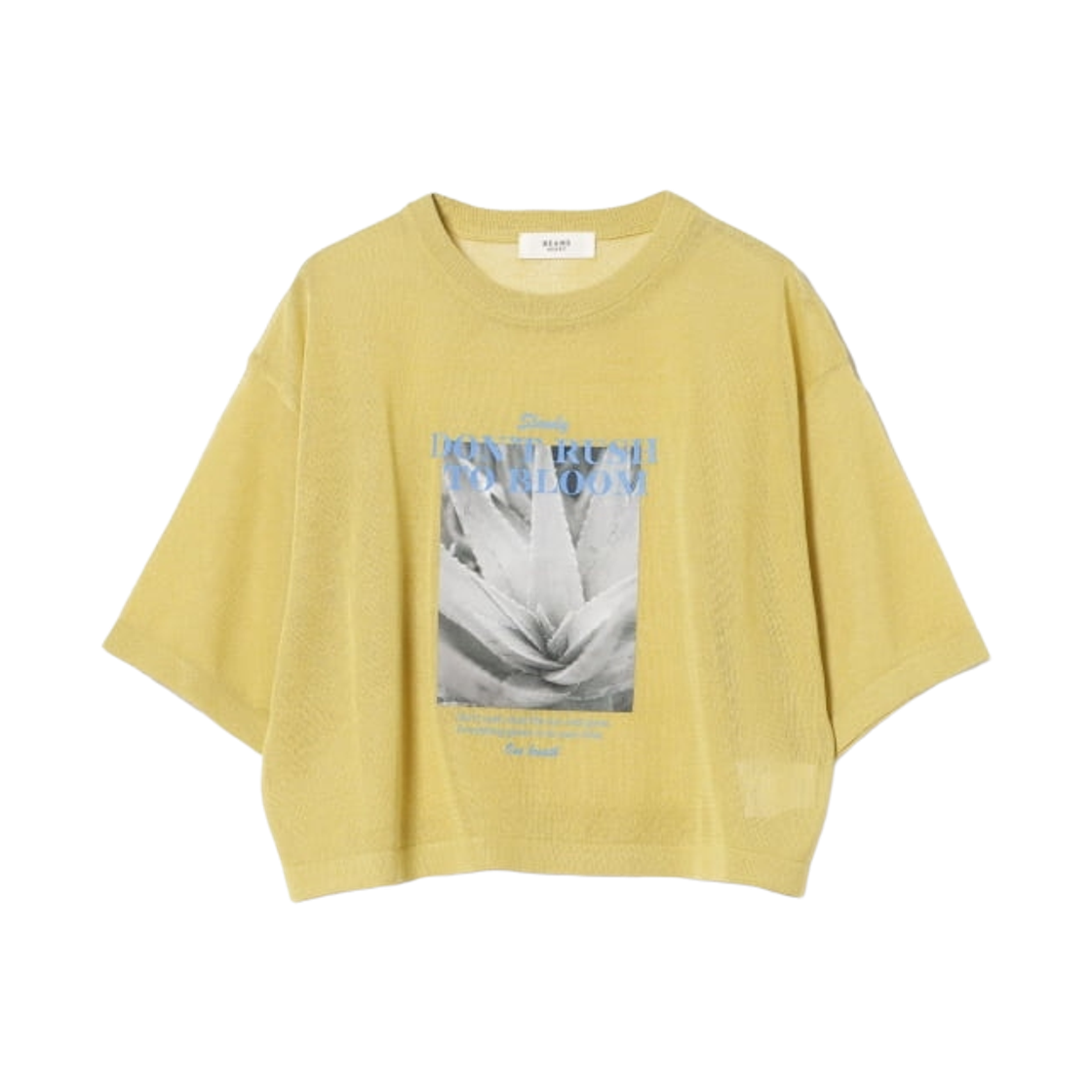43-05-0130-928 (W) Beams Heart Photo Print Sheer Knit T-Shirt Yellow