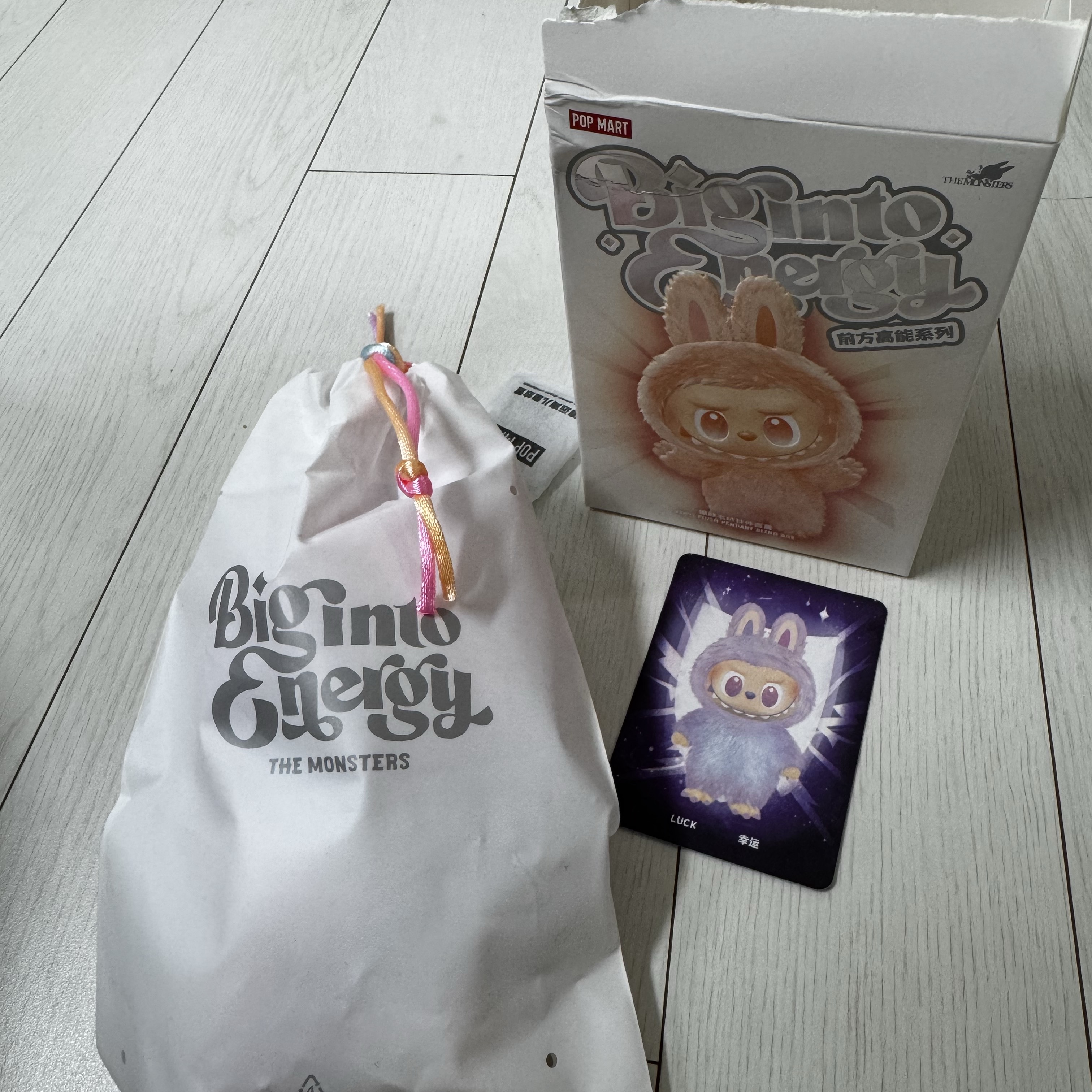 Pop Mart Labubu The Monsters Highlight Series Sealed Case (Bundle of 2/1 Blind Box) 착용 스타일