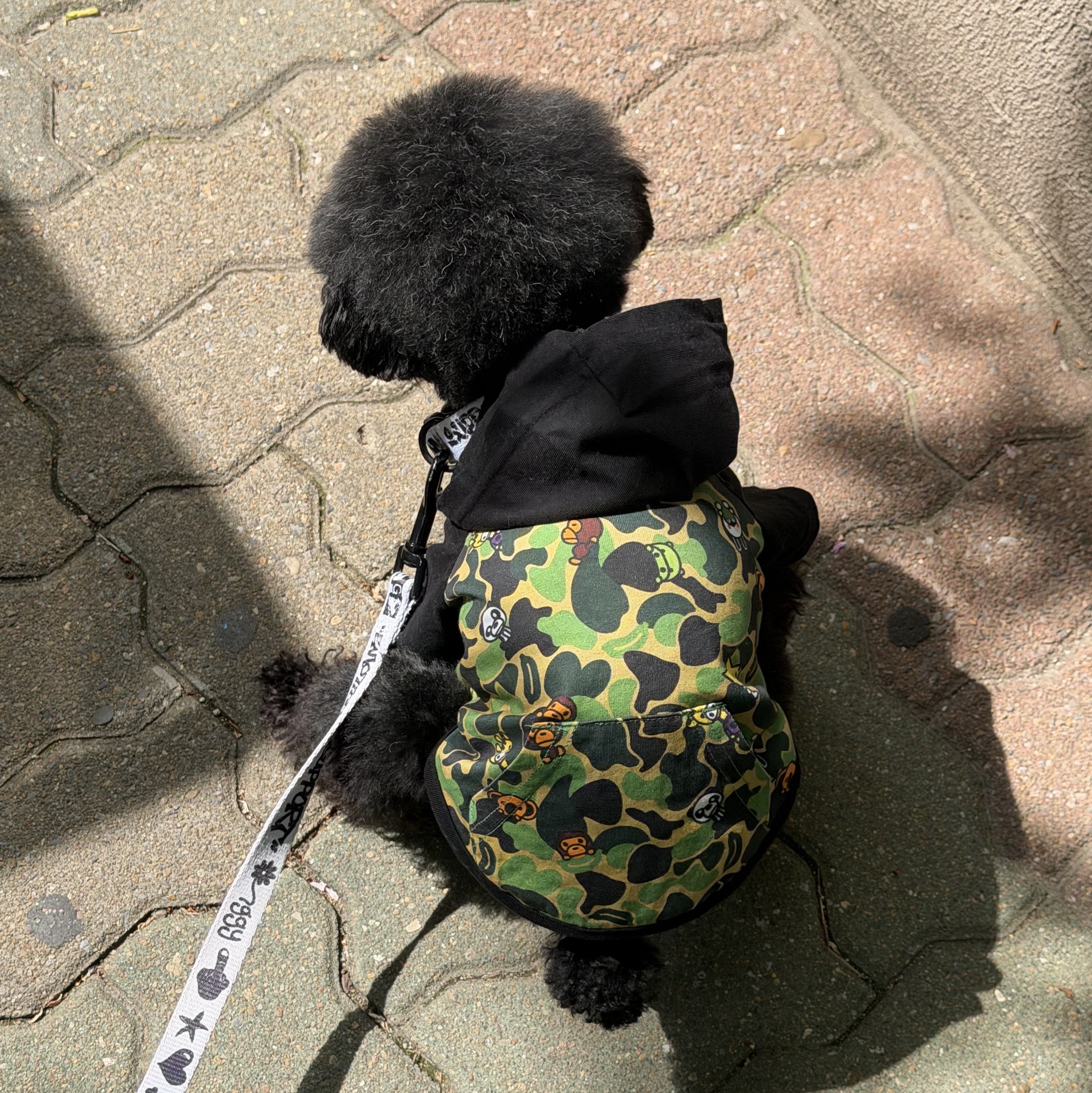 BAPE ABC Milo Pet Hoodie T-Shirt Green 착용 스타일