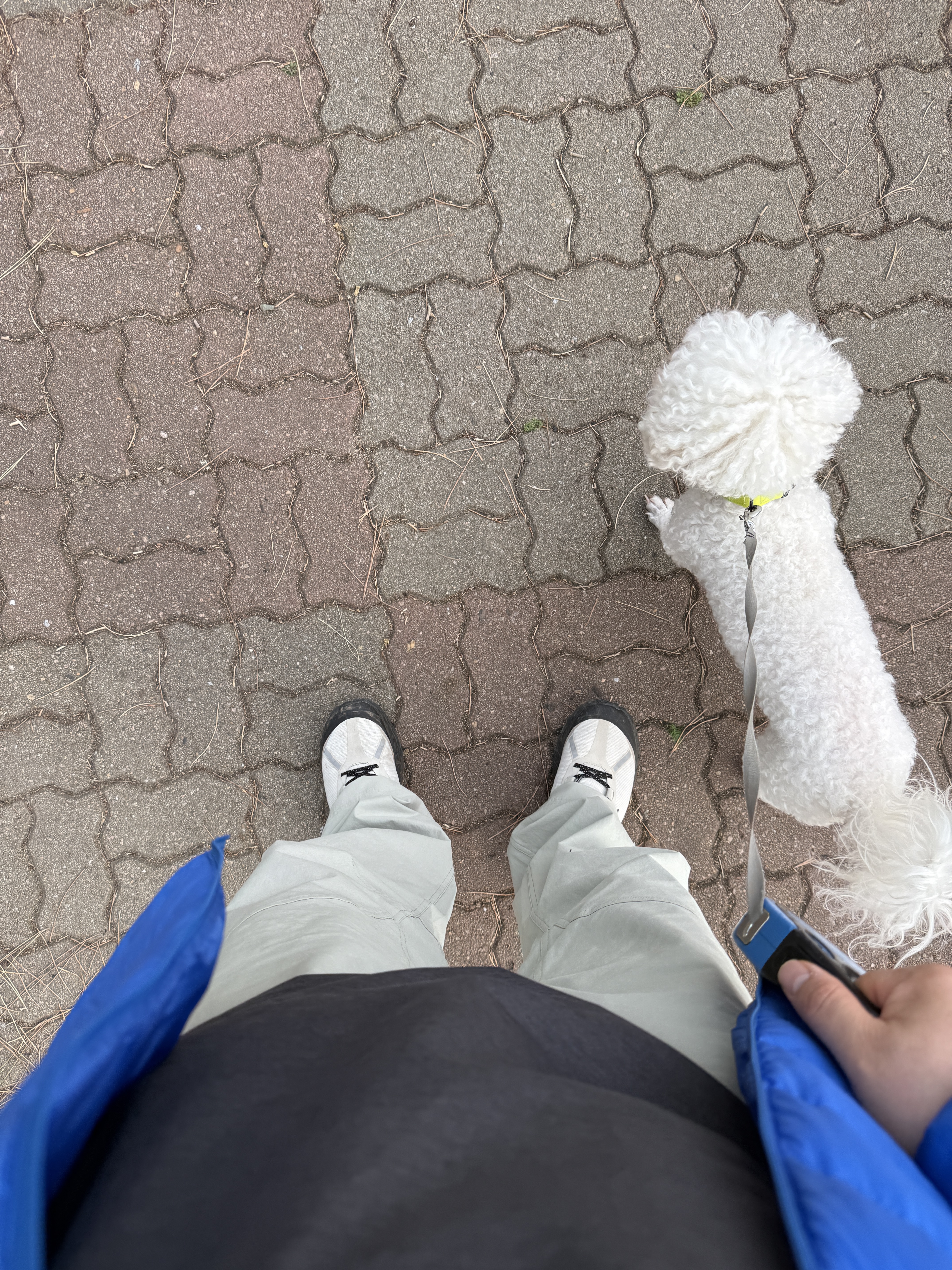 Arc'teryx Cerium LT Hoody Fluidity, Norda 001/A Cinder 착용 스타일