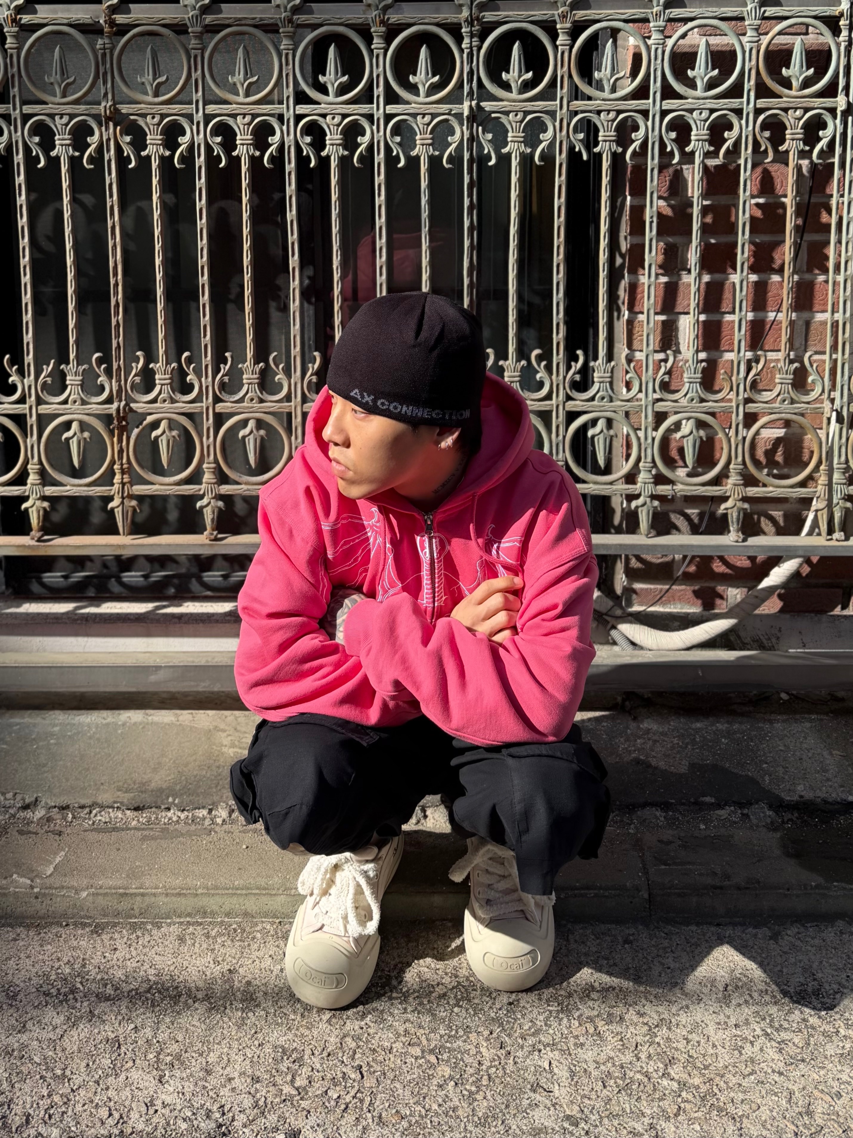 Palace Wingspan Triple Stitch Hood Posh Pink - 25FW, AX CONNECTION Compass Logo Beanie (Lightweight) 착용 스타일 - 5