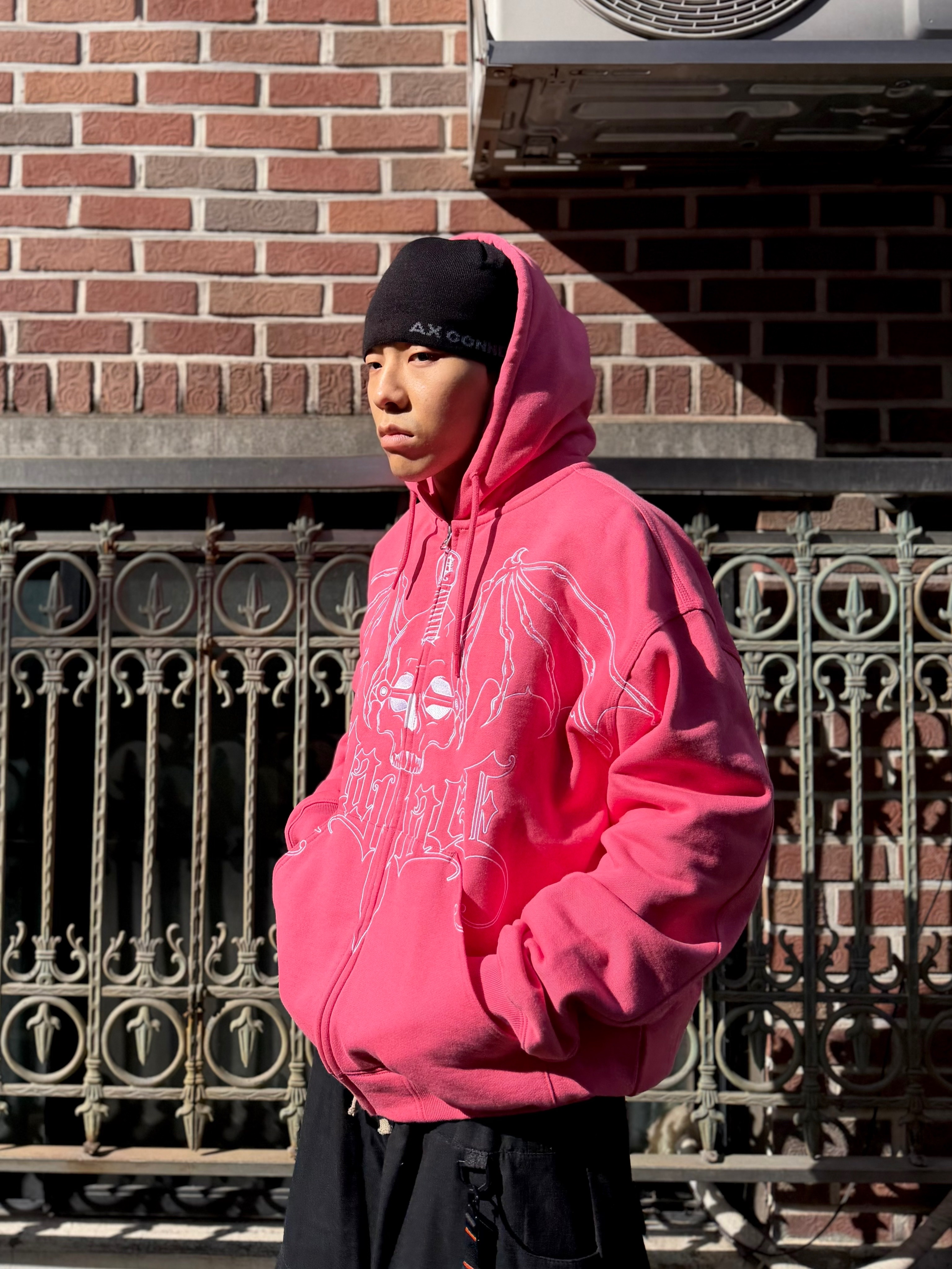 Palace Wingspan Triple Stitch Hood Posh Pink - 25FW, AX CONNECTION Compass Logo Beanie (Lightweight) 착용 스타일 - 1