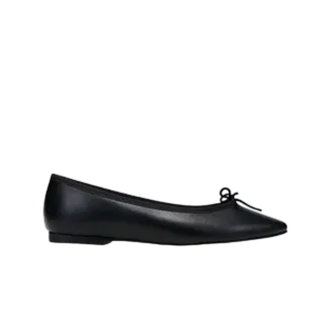 (W) 레페토 포인티 산드리옹 블랙((W) Repetto Pointy Cendrillon Black) - 1