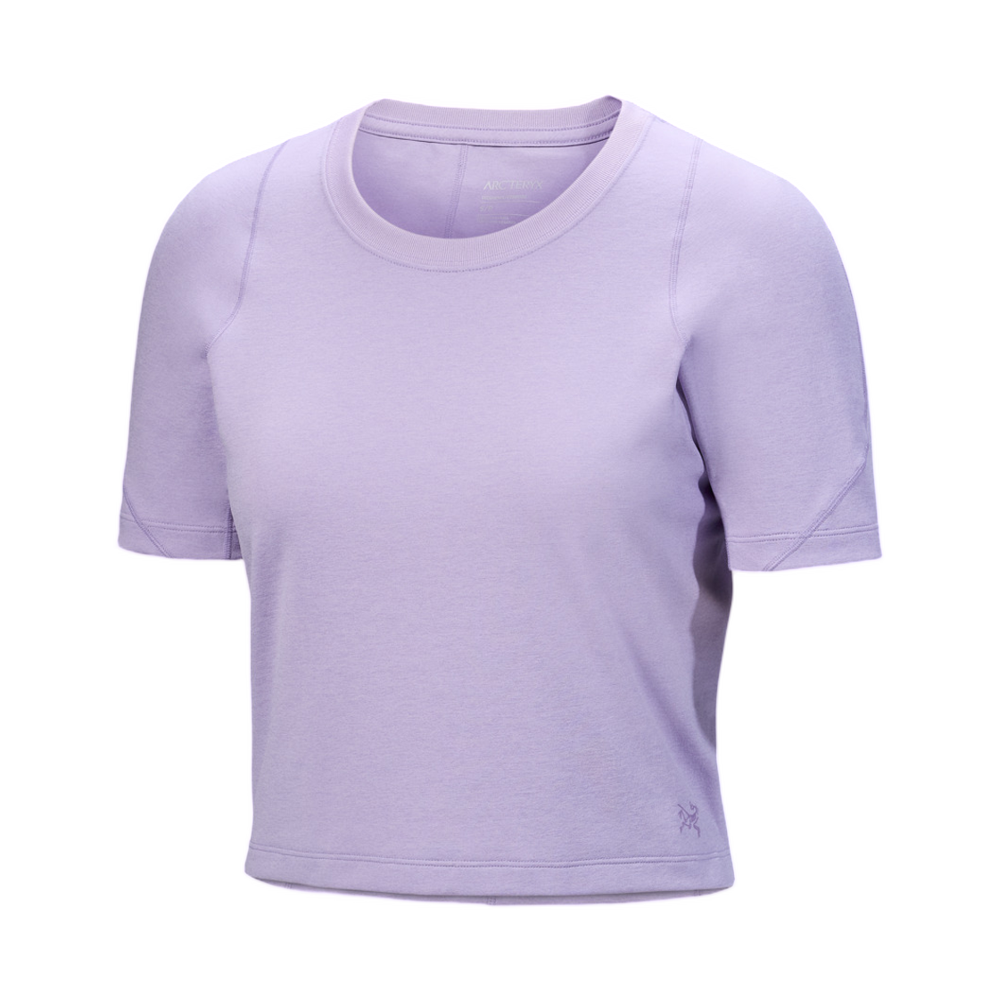 (W) 아크테릭스 룰라 SS 티셔츠 말로우((W) Arc'teryx Rula SS T-Shirt Mallow)