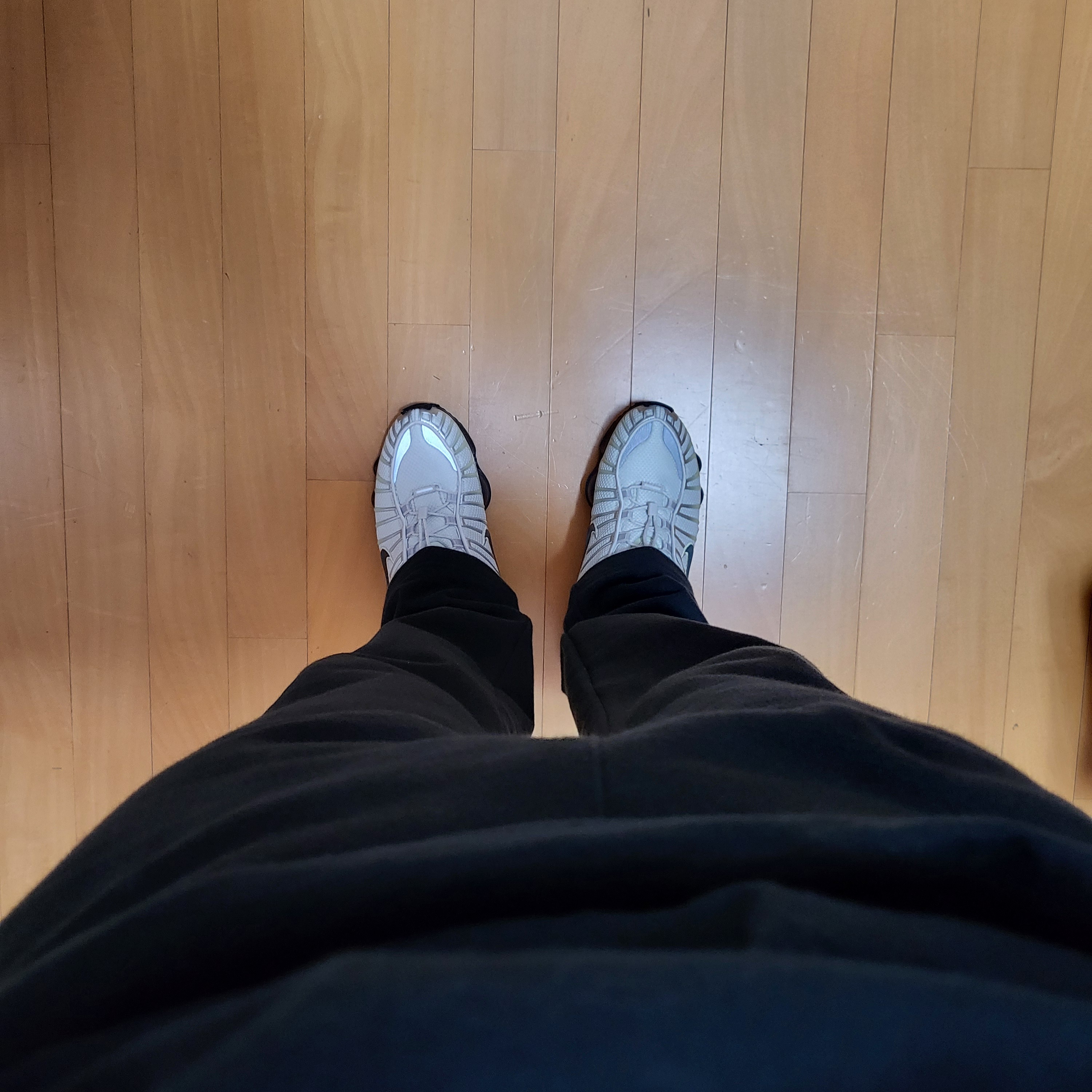 (W) Nike Shox TL Light Bone Olive Aura 착용 스타일
