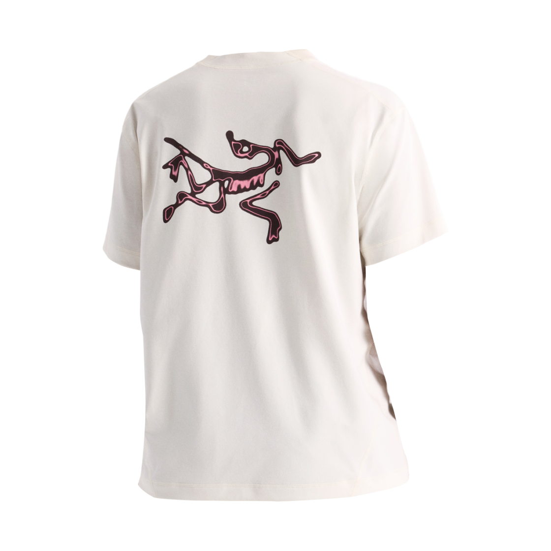 (W) 아크테릭스 엔보이 써멀 버드 SS 티셔츠 아크틱 실크((W) Arc'teryx Envoy Thermal Bird SS T-Shirt Arctic Silk) - 2
