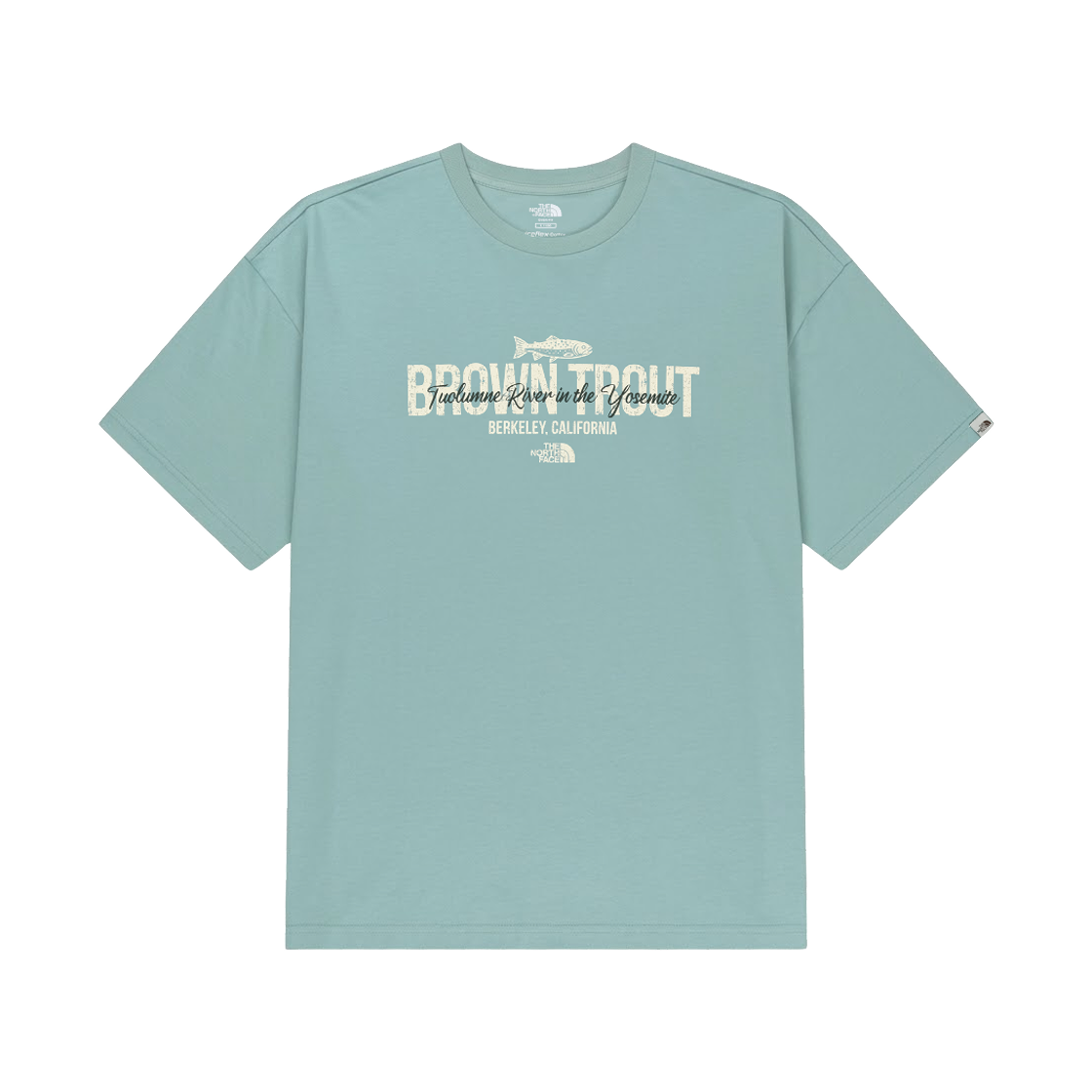 NT7US24M The North Face White Label Trutta S/S R/T-Shirt Grayish Turquoise - 26SS