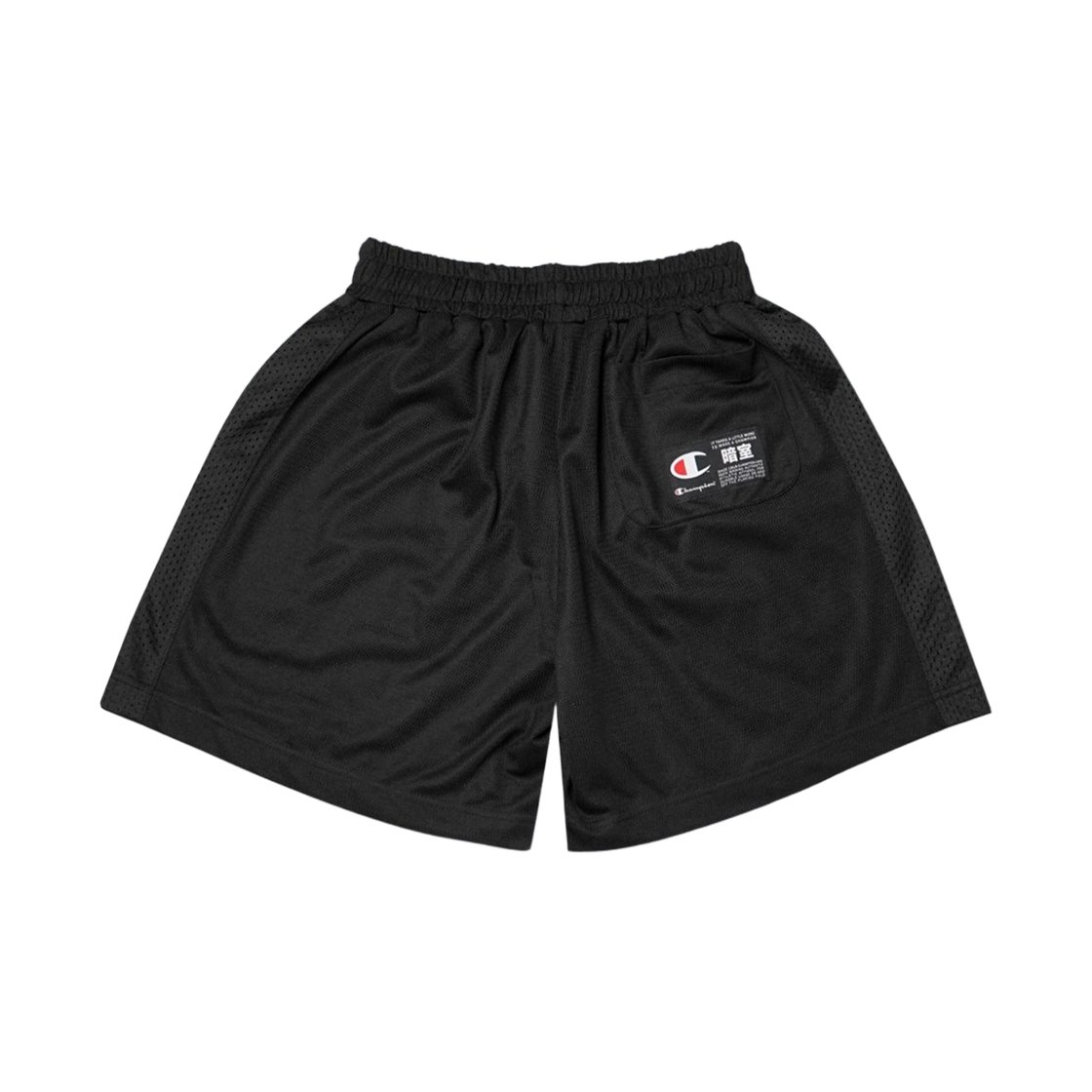 챔피온 x 다크룸 스튜디오 헤비웨이트 메쉬 쇼츠 블랙(Champion x Darkr8m Studio Heavyweight Mesh Shorts Black) - 2