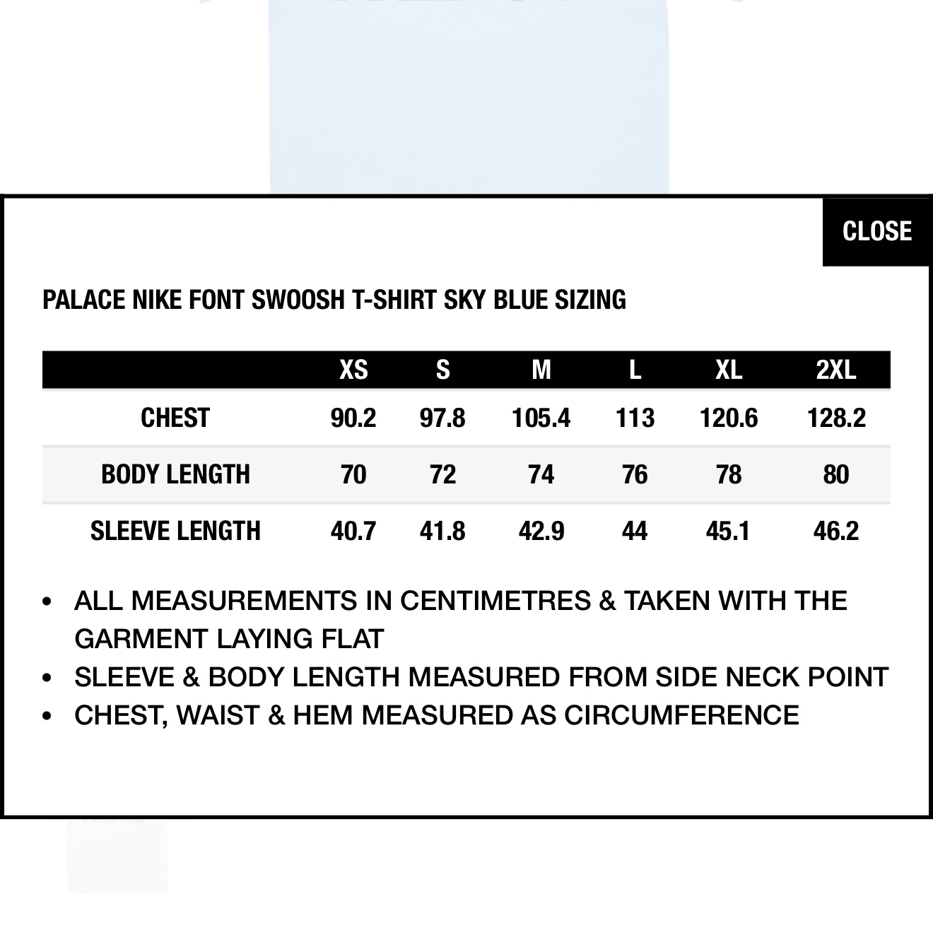 Palace x Nike Font Swoosh T-Shirt Sky Blue - 26SS 착용 스타일 - 2
