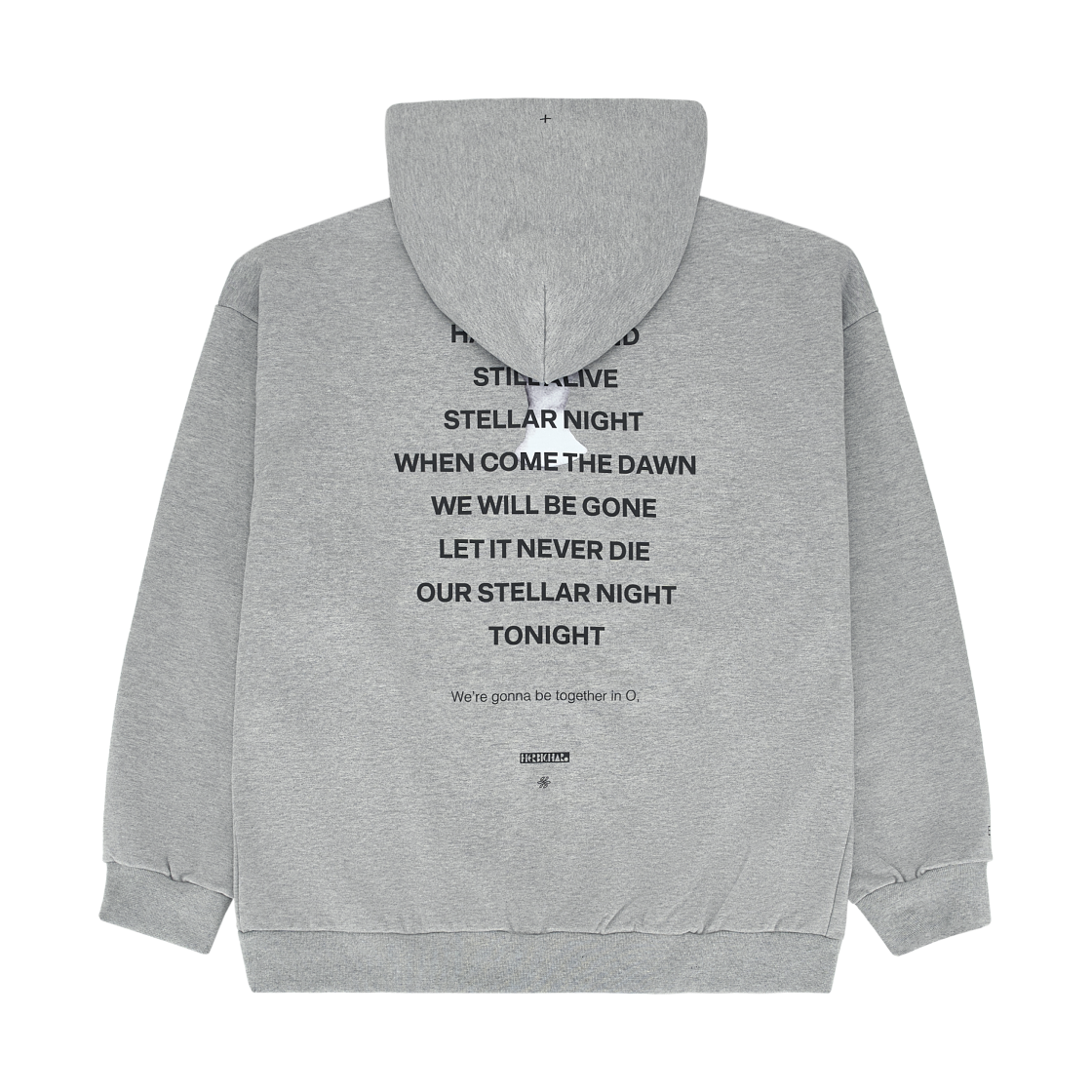 박효신 라이브 A&E 2026 E 집업 후디 그레이(Park Hyo Shin Live A&E 2026 E Zip-Up Hoodie Grey) - 2