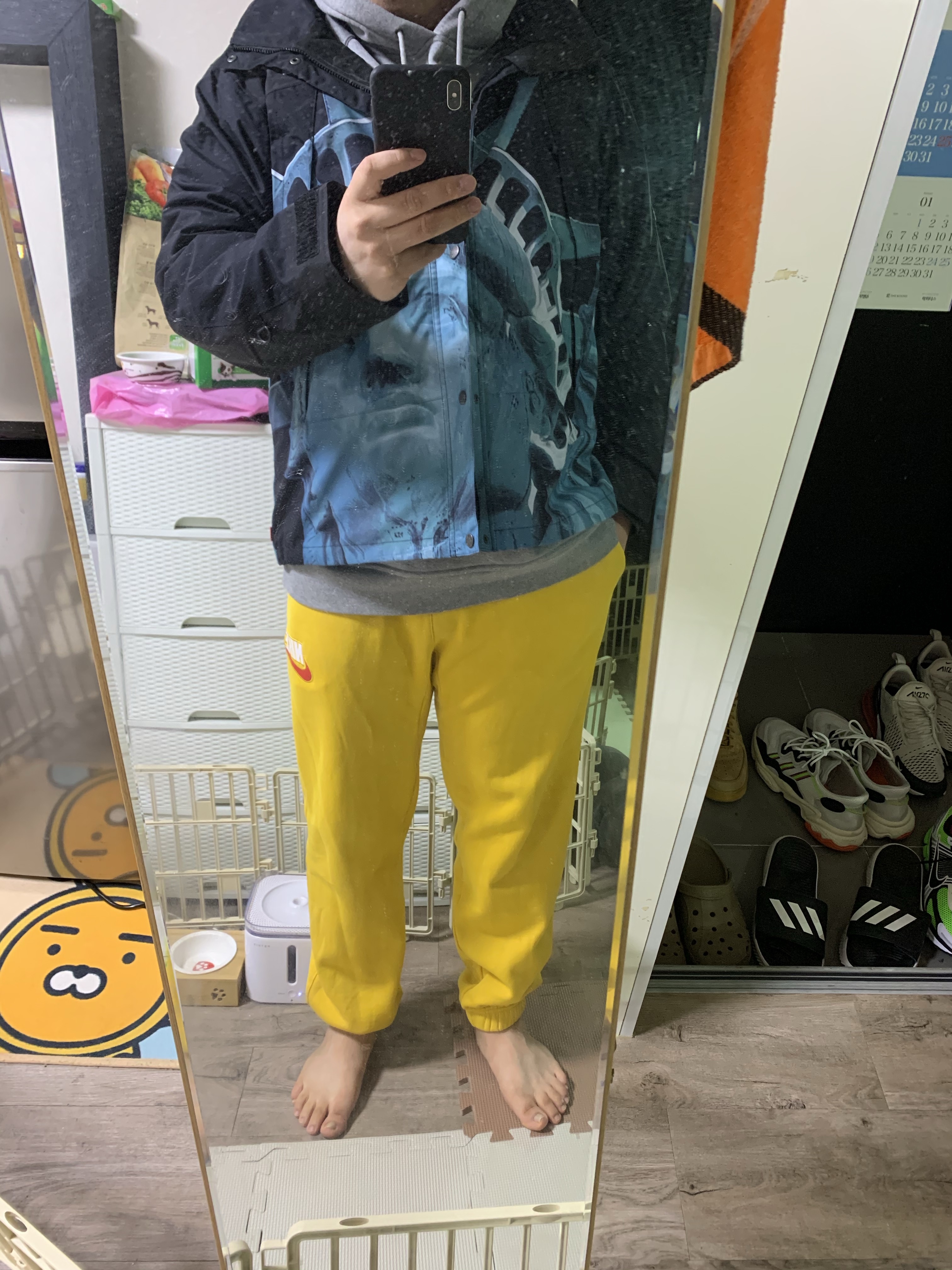 Supreme x The North Face Statue of Liberty Mountain Jacket Black - 19FW, Supreme x Nike Sweatpants Mustard - 18FW 착용 스타일