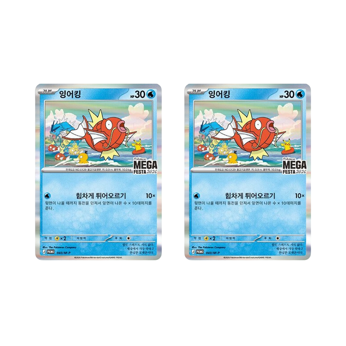 포켓몬 TCG 메가 페스타 2026 프로모 카드 잉어킹 (2개 번들/언그레이디드 팩 버전)(Pokemon TCG Mega Festa 2026 Promo Card Magikarp (Bundle of 2/Ungraded Pack Ver.))