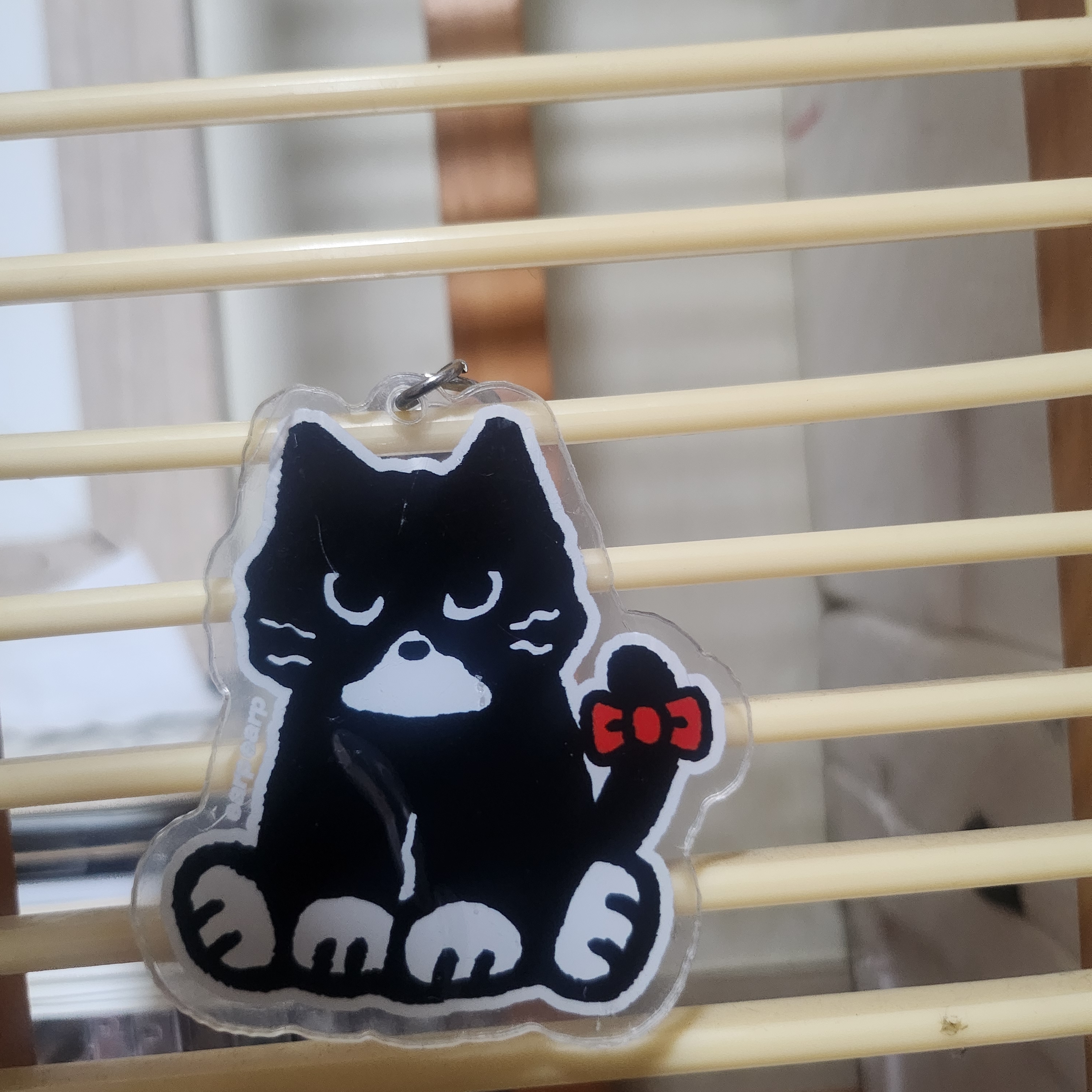 earpearp Mero Big Keyring Black 착용 스타일
