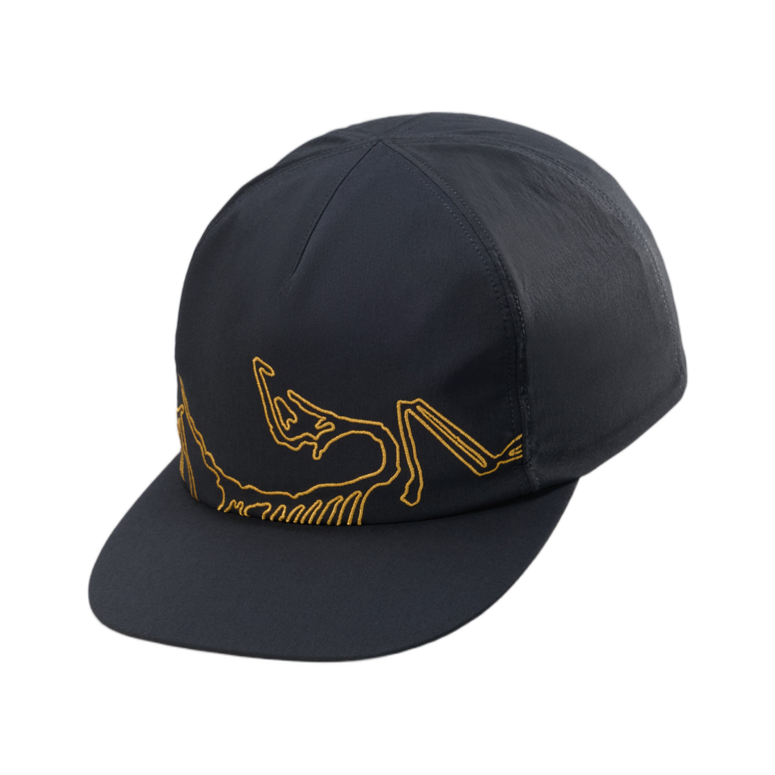 10185 Arc'teryx Silex Cap 24K Black