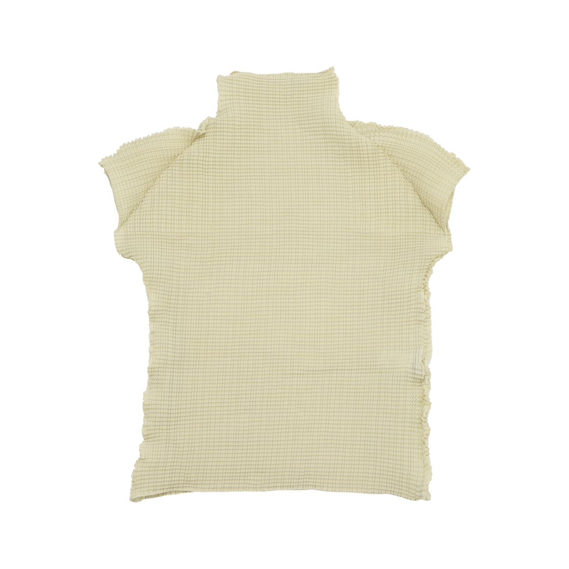 이세이 미야케 IM36FJ401 울리 플리츠 56 티셔츠 가디건 세트 라이트 그린(Issey Miyake IM36FJ401 Wool Pleats 56 T-Shirt and Cardigan Set Light Green)