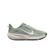 (W) Nike ACG Pegasus Trail Jade Horizon Light Silver