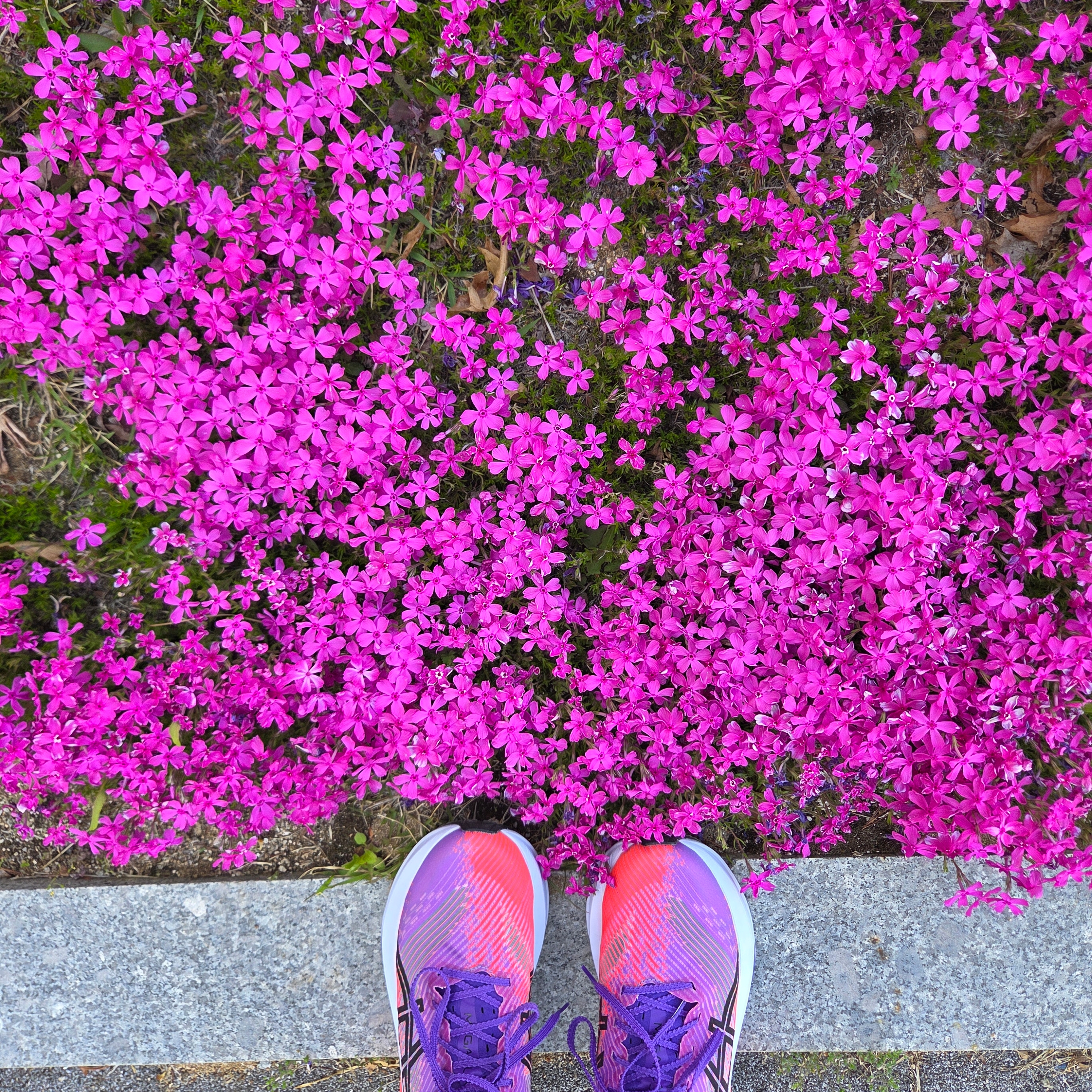 Asics Megablast Edo Purple Black 착용 스타일