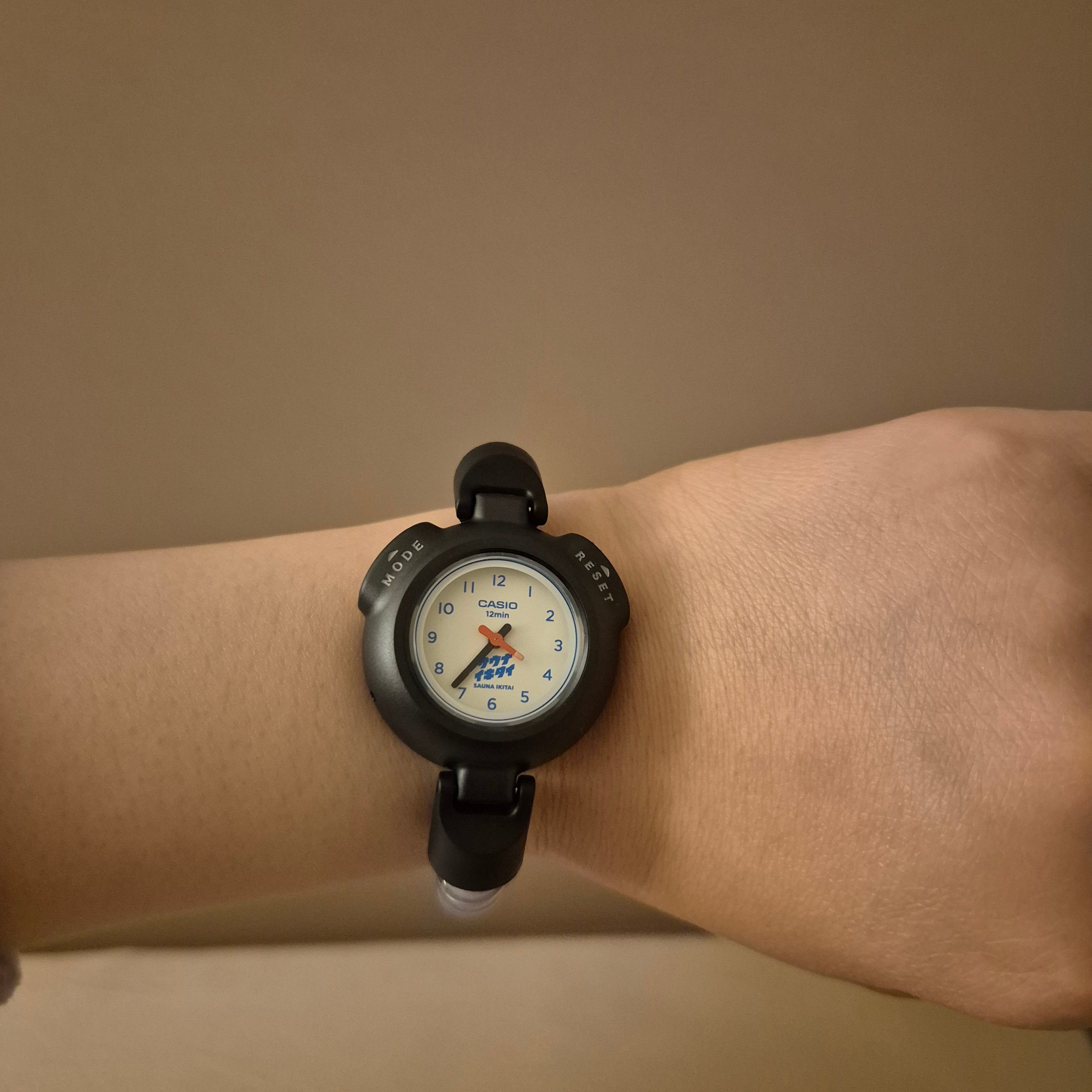 Casio SAN-100H-7BJR 착용 스타일 - 2