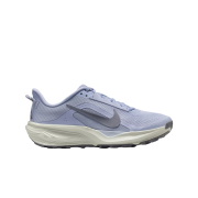 (W) Nike ACG Pegasus Trail Ghost Mineral Slate