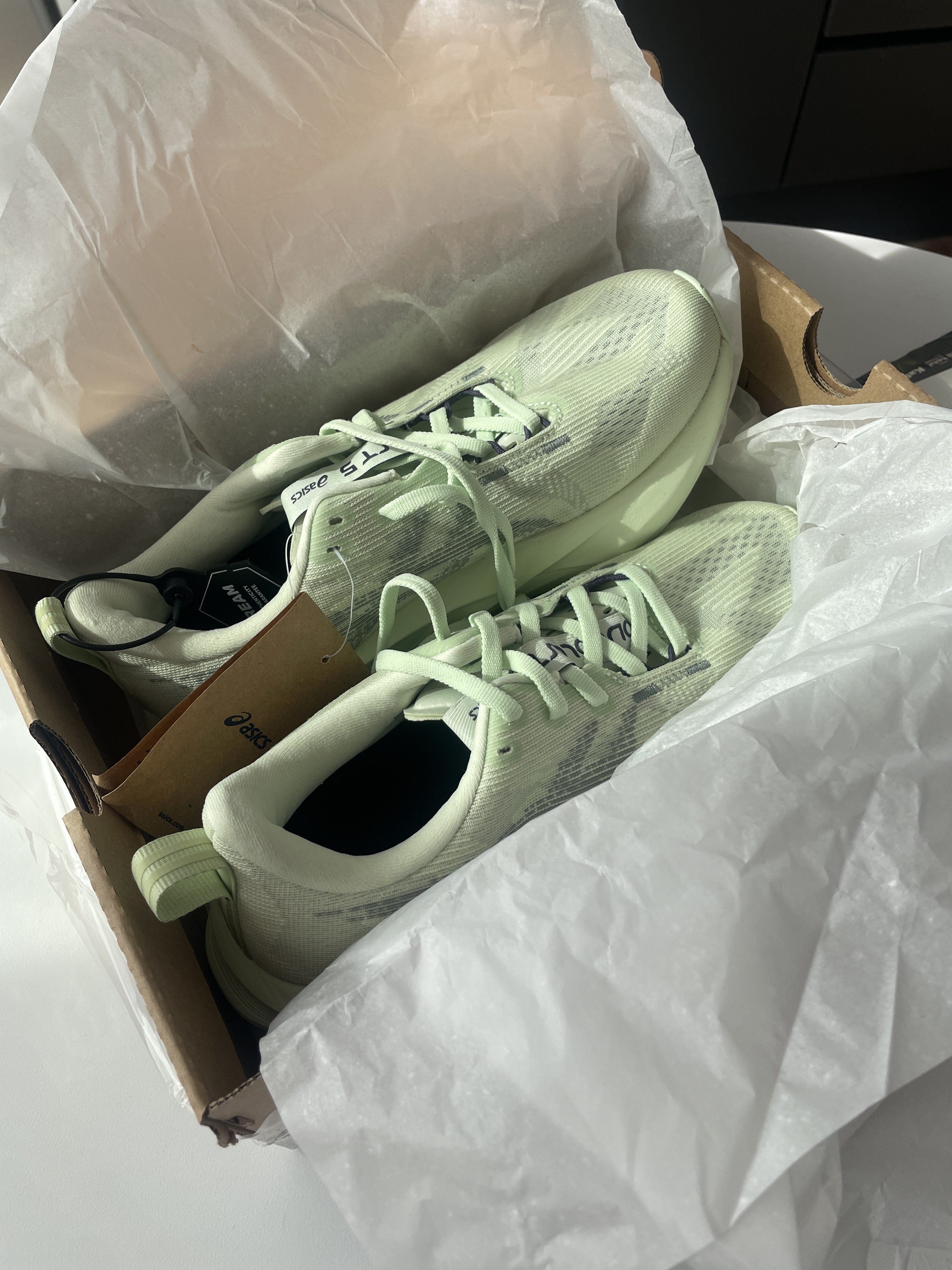 (W) Asics Novablast 5 Whisper Green Monument Blue 착용 스타일 - 1