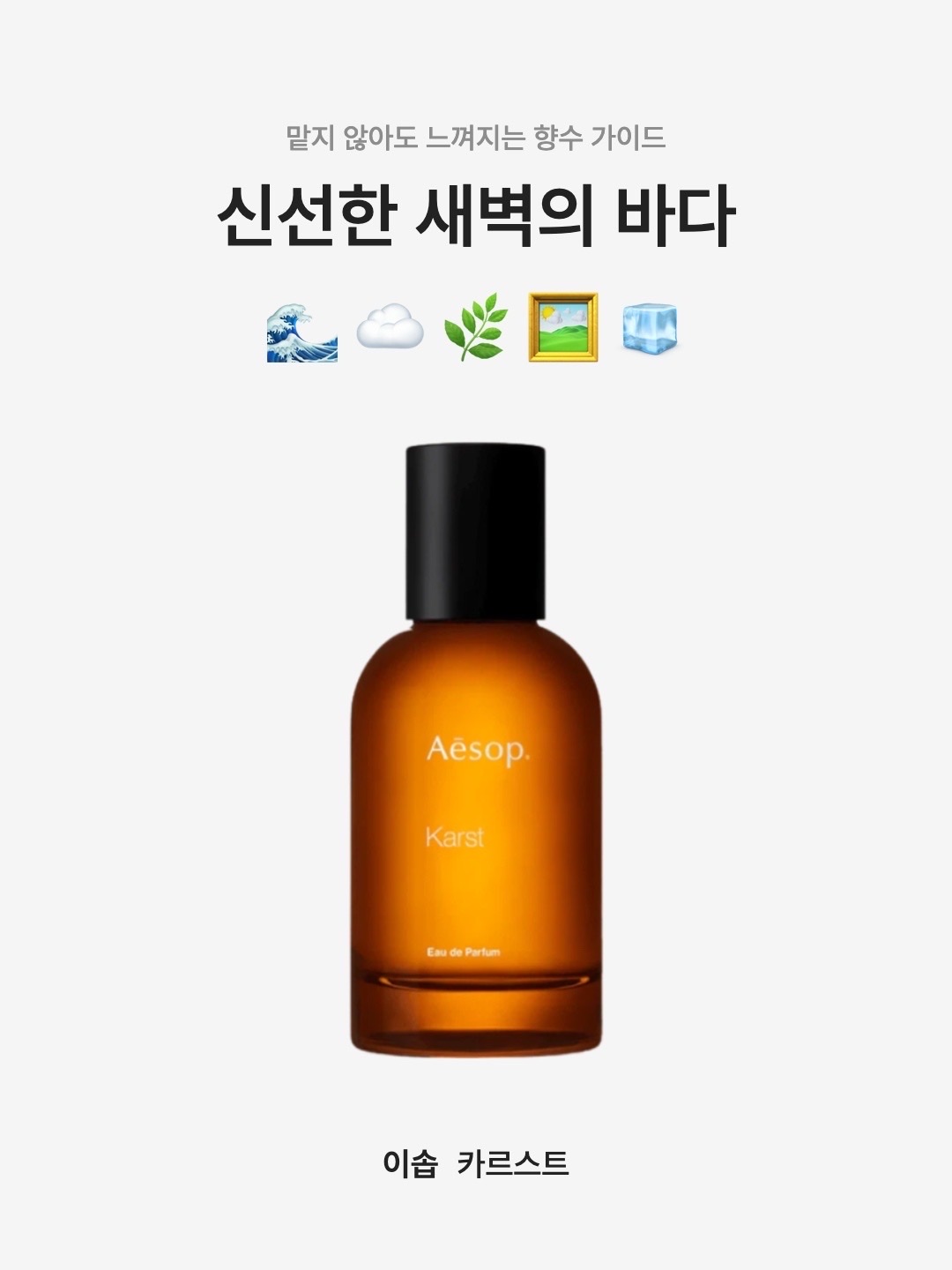 Aesop Karst Eau De Parfum 50ml 착용 스타일 - 1