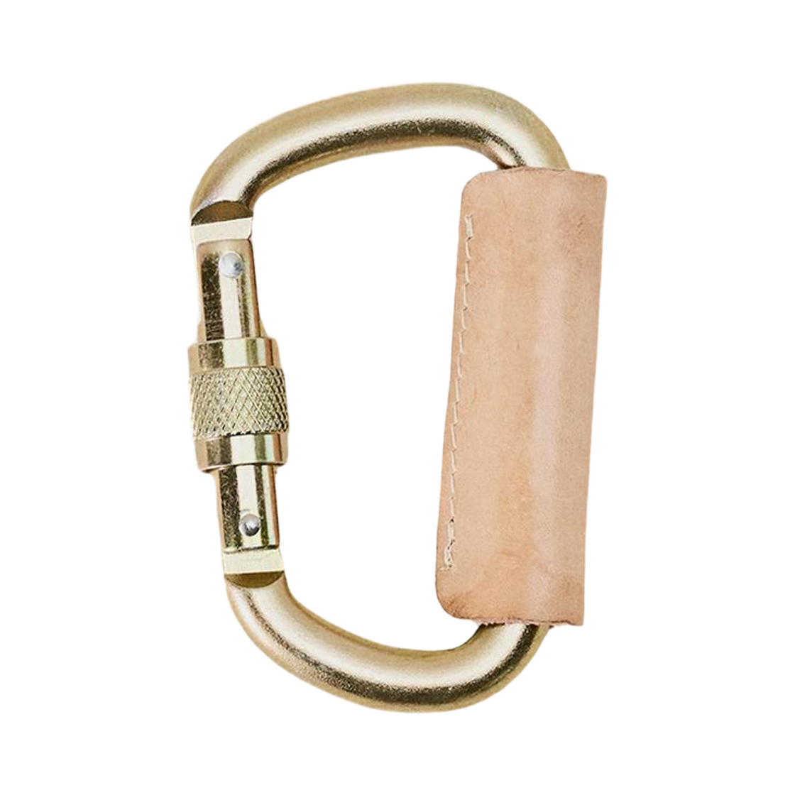 자라 x 아론 리바인 레더 카라비너 디테일 골드(Zara x Aaron Levine Leather Carabiner Detail Gold)